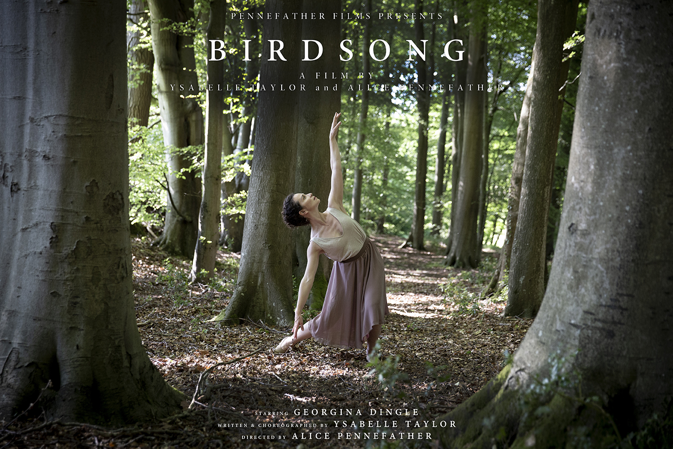 Birdsong