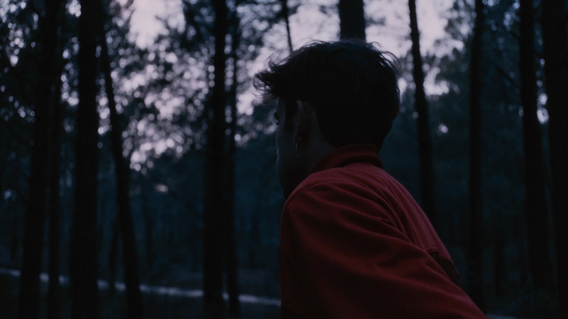 Algo así como la noche