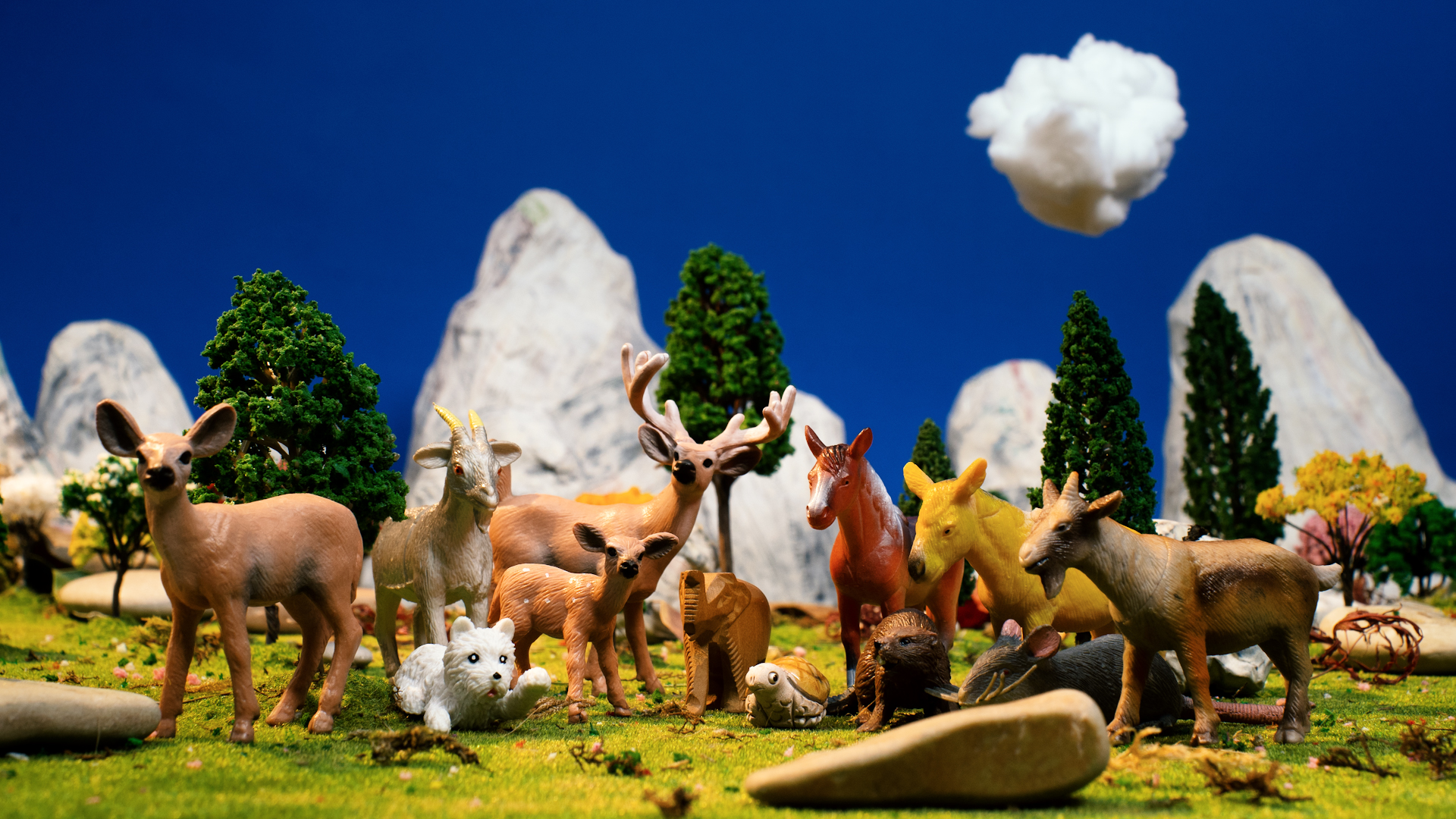 Favole dal mondo nuovo