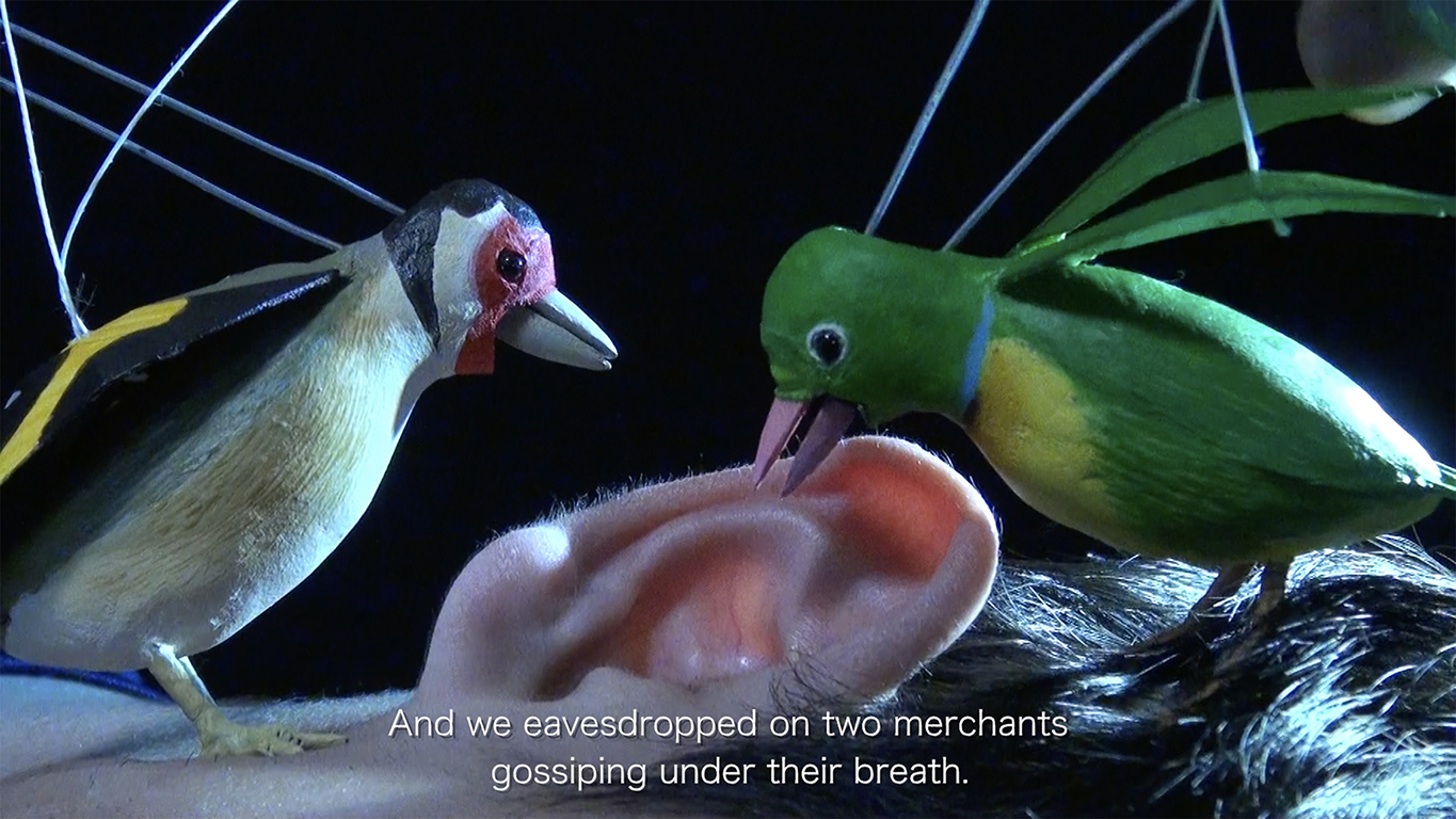 Princess And the Magic Birds