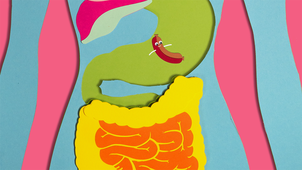 En bro av poesi: kretsloppet