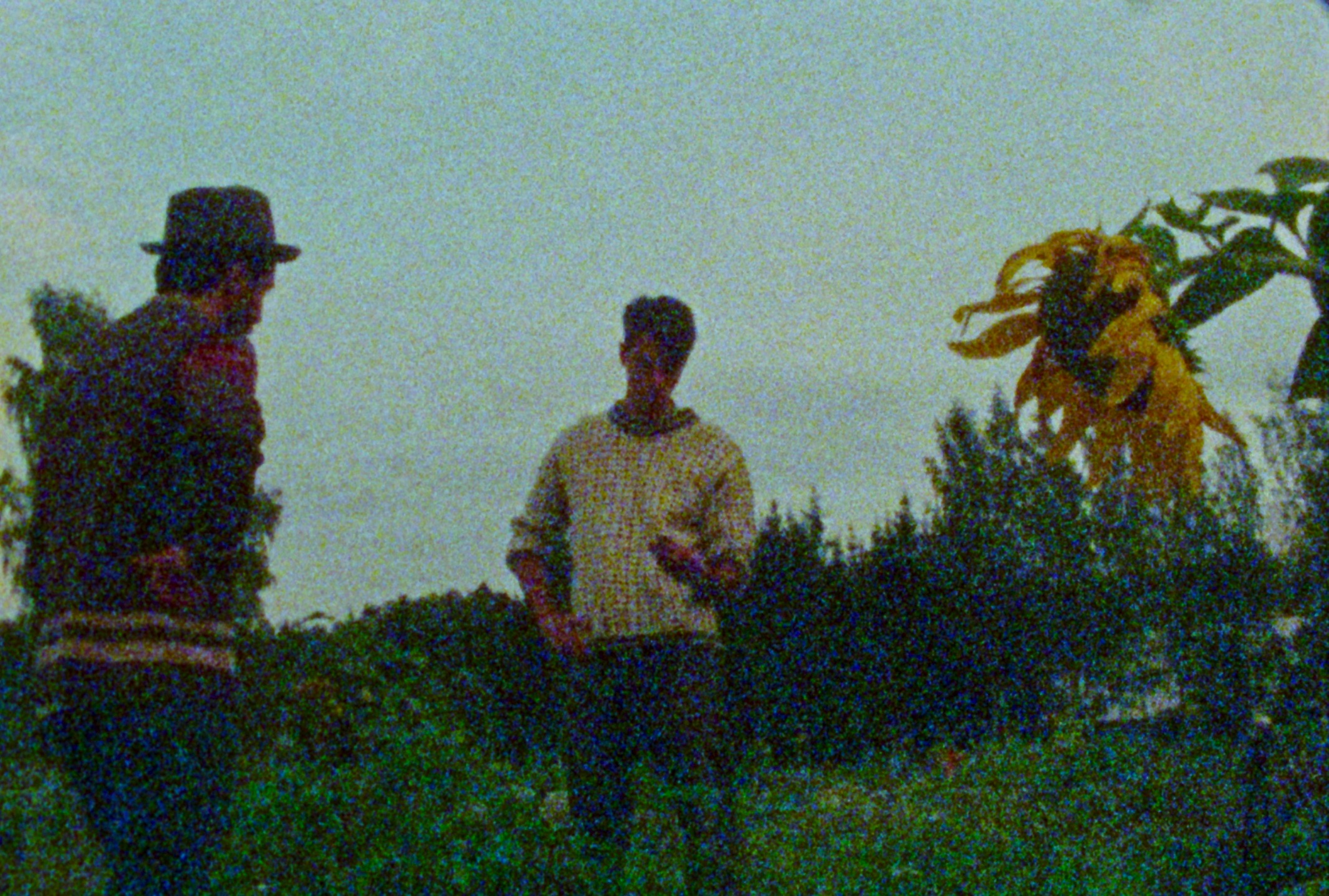 Flying Potato And Other Misunderstandings