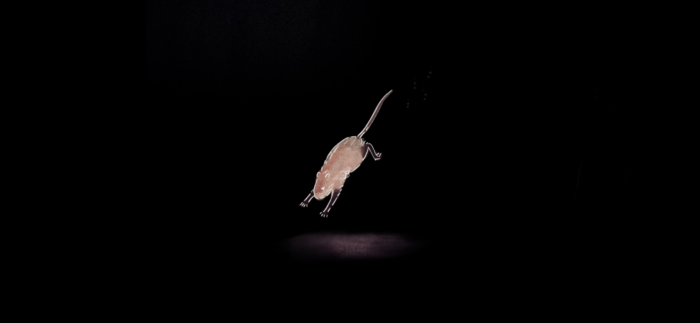 Indigenous Peoples Experience - Cree Creation Story