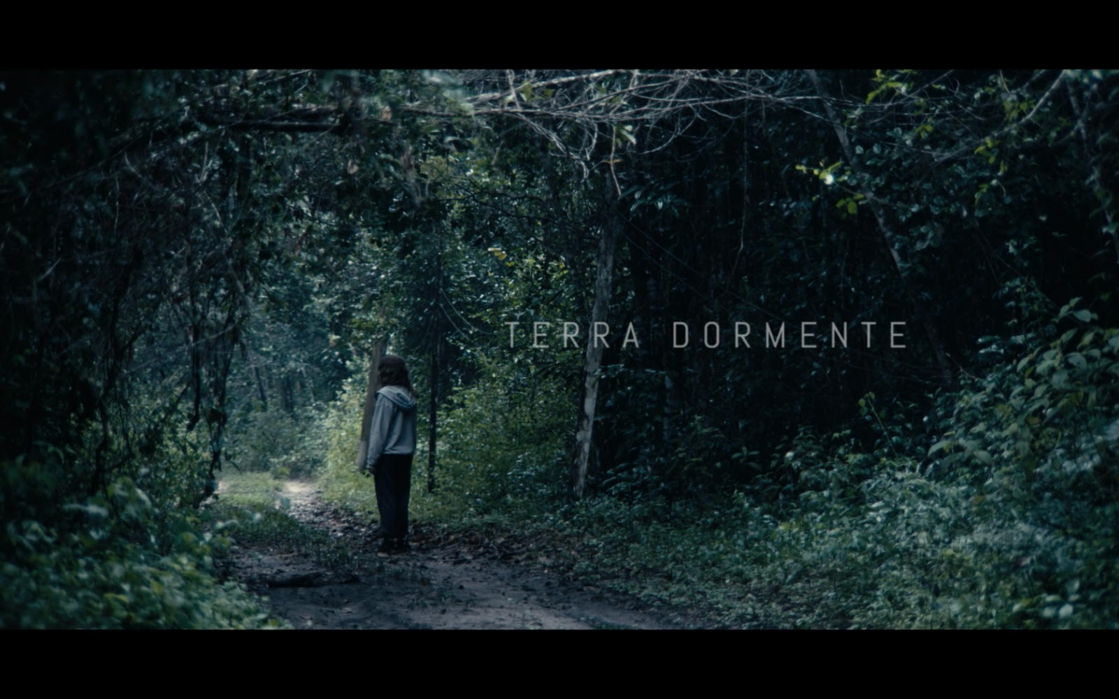 Terra dormente