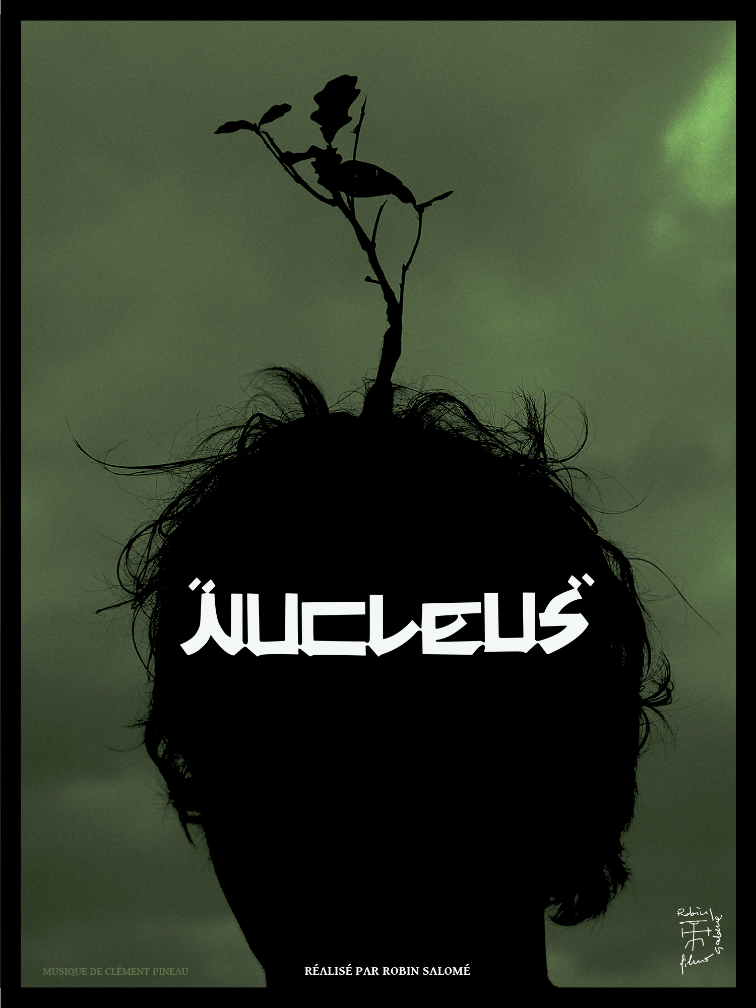 " nucleus "