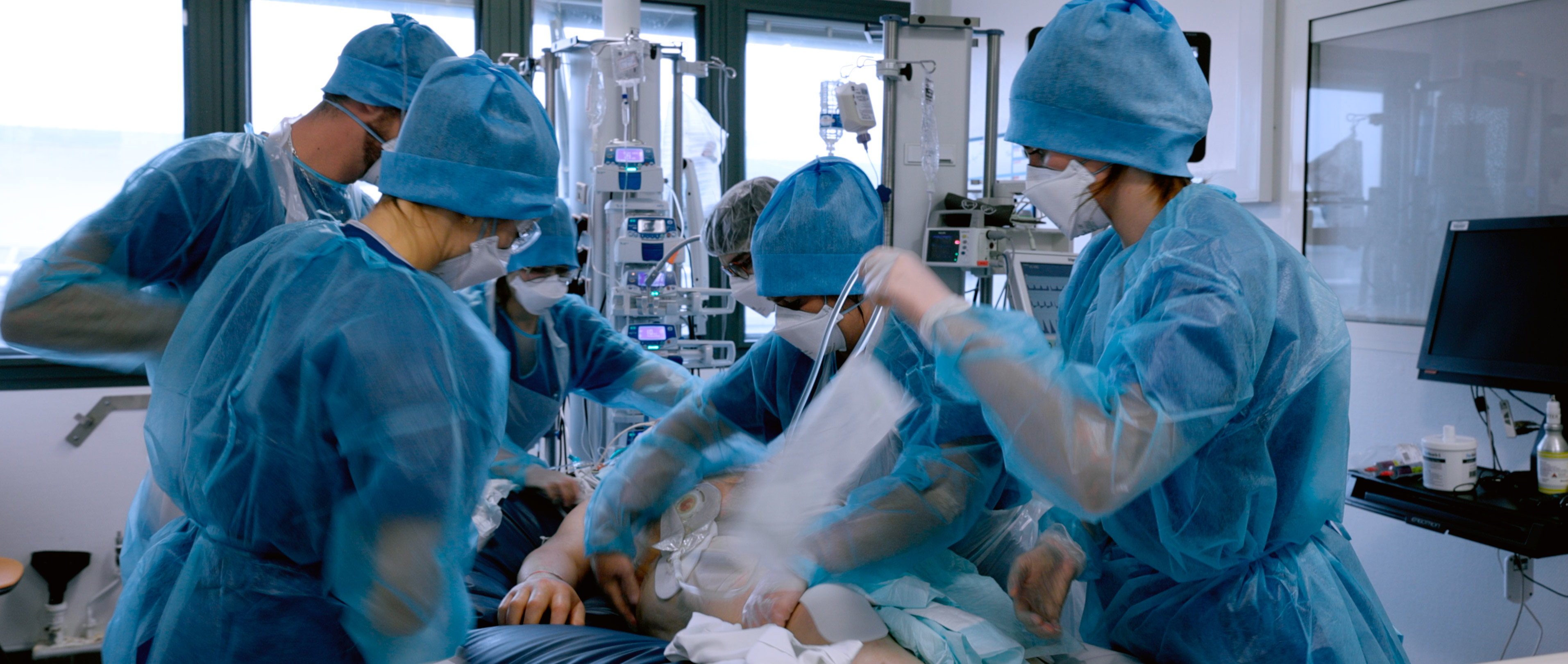 Détresse du pangolin