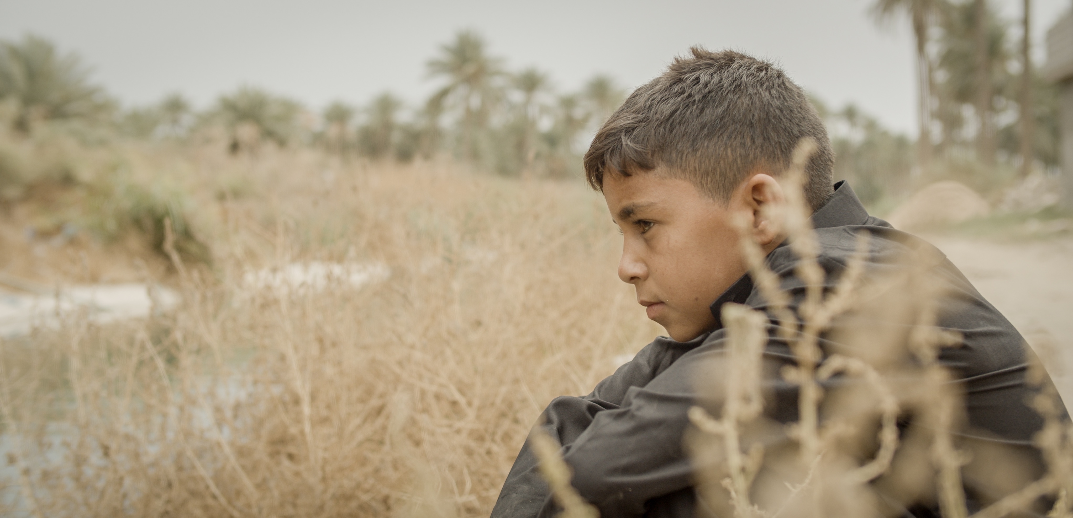 Ali And His Miracle Sheep