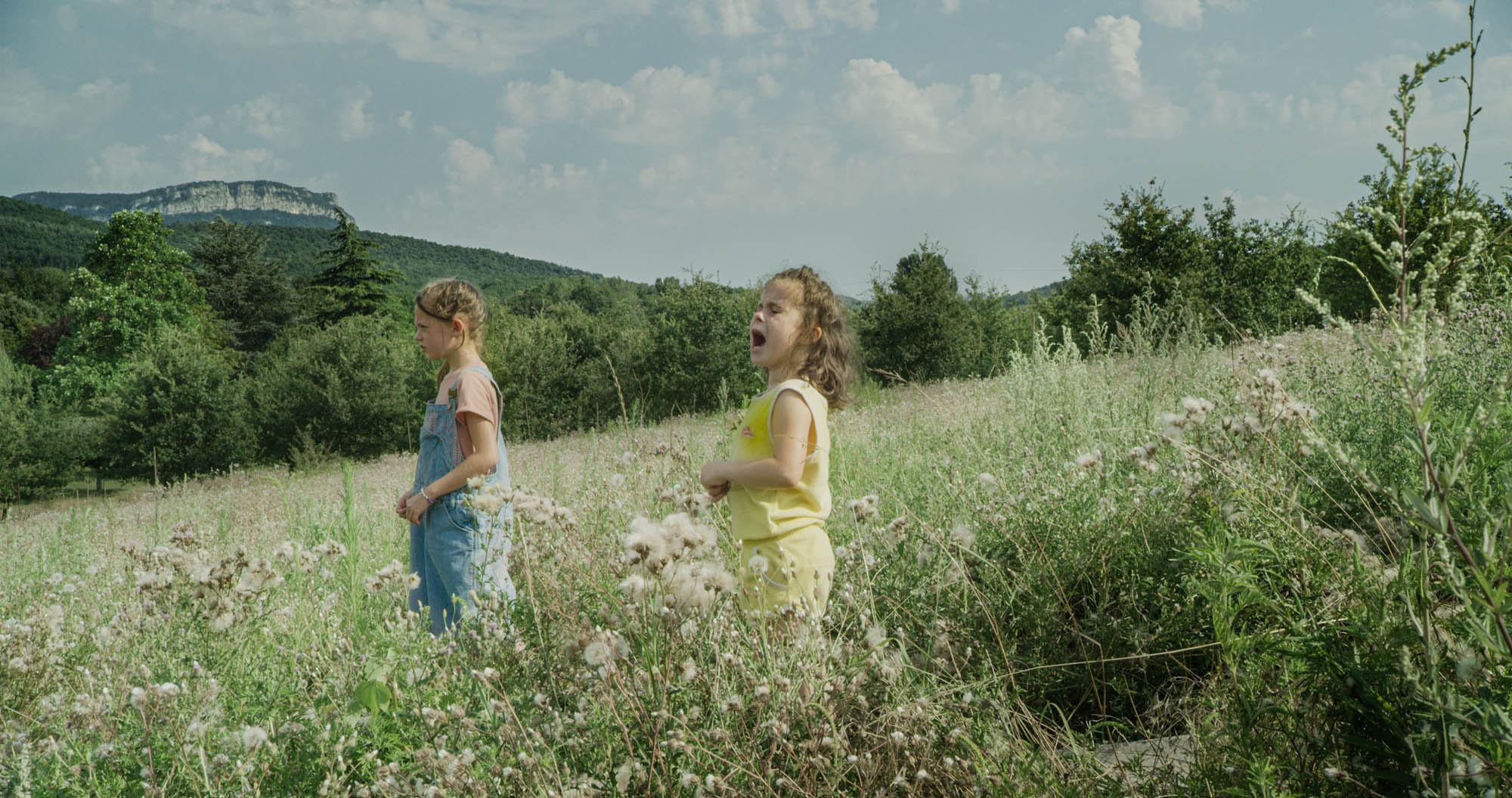 Trois grains de gros sel