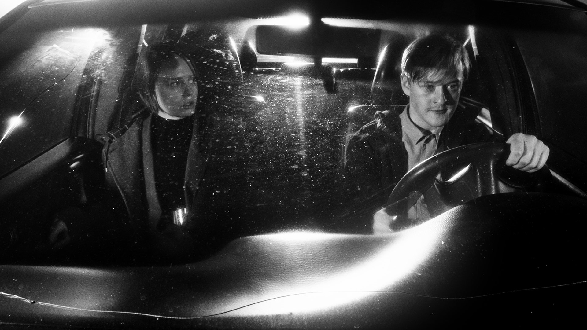 Night of the Living Dicks