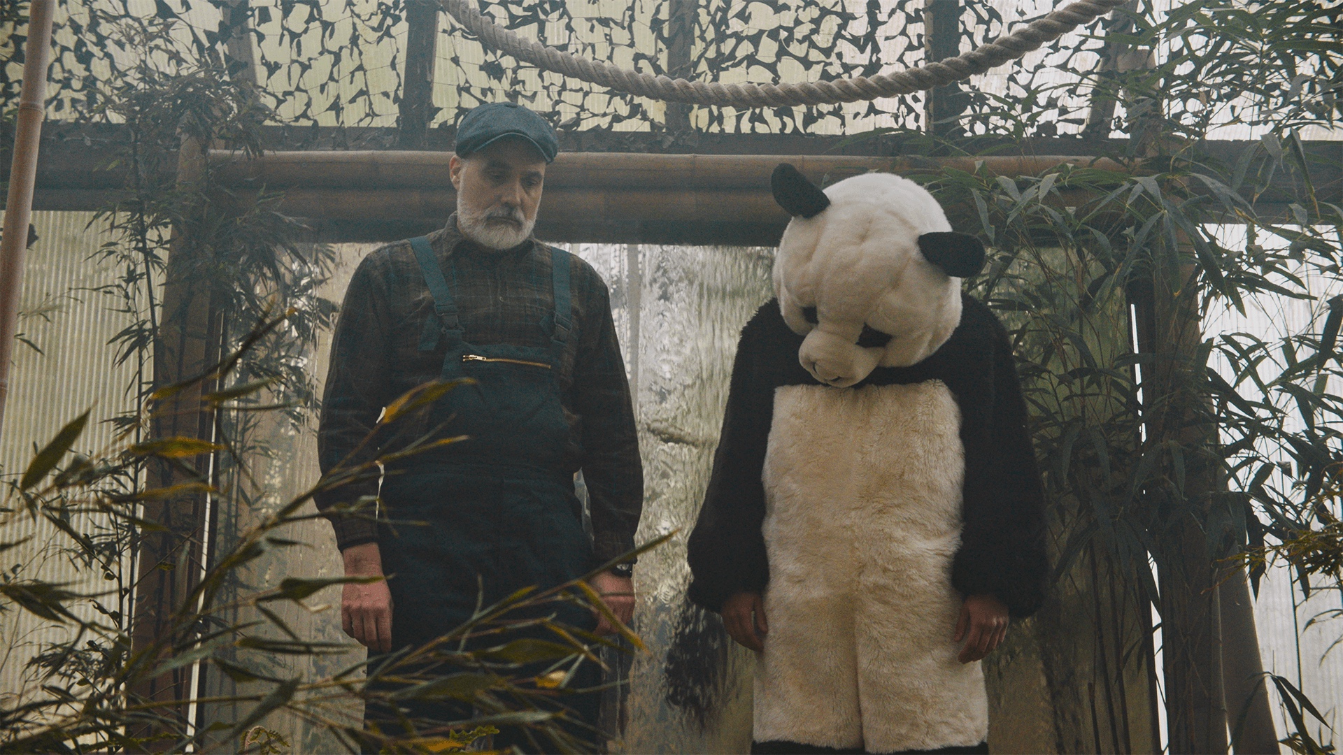 Von friesen und pandabären