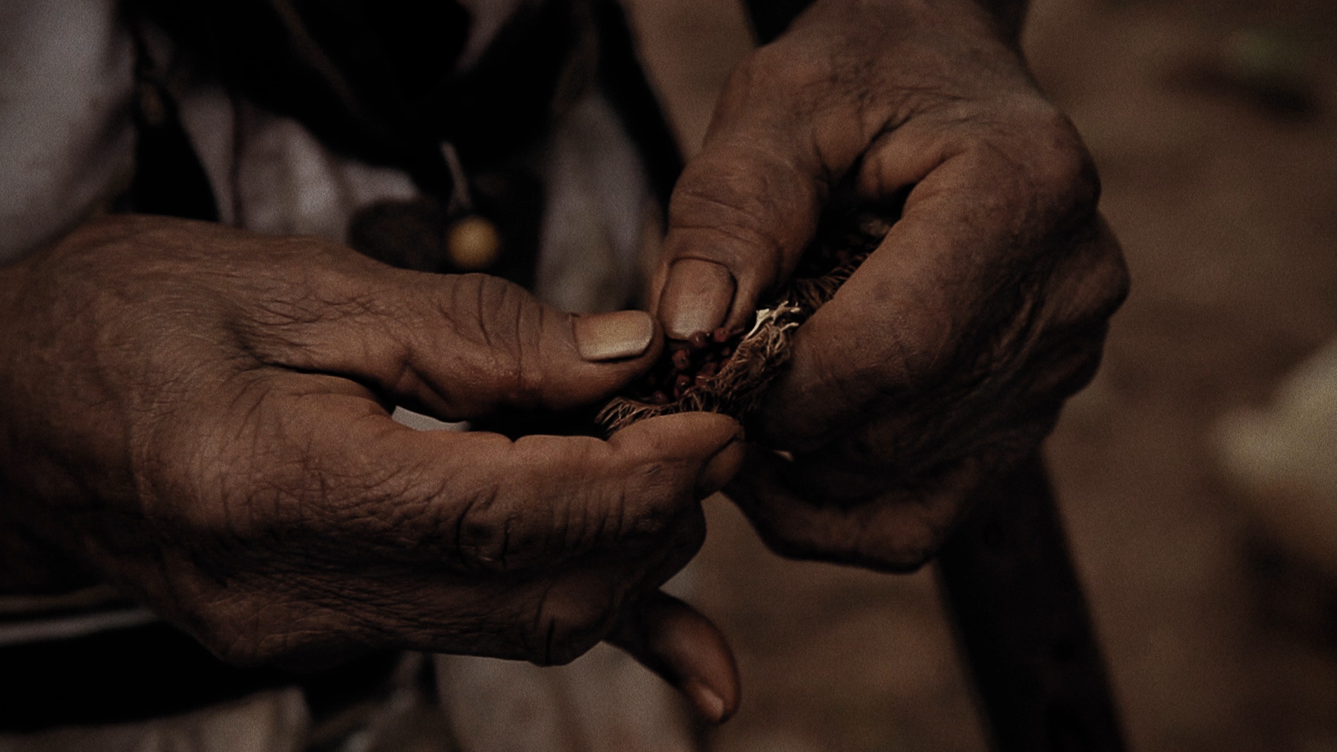 Ava Mocoi, Os Gêmeos