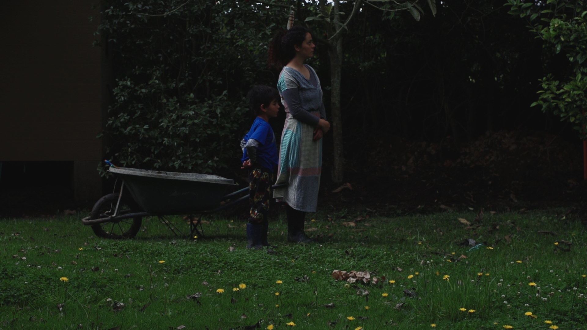 ¿Qué hay detrás de la lechuza muerta?