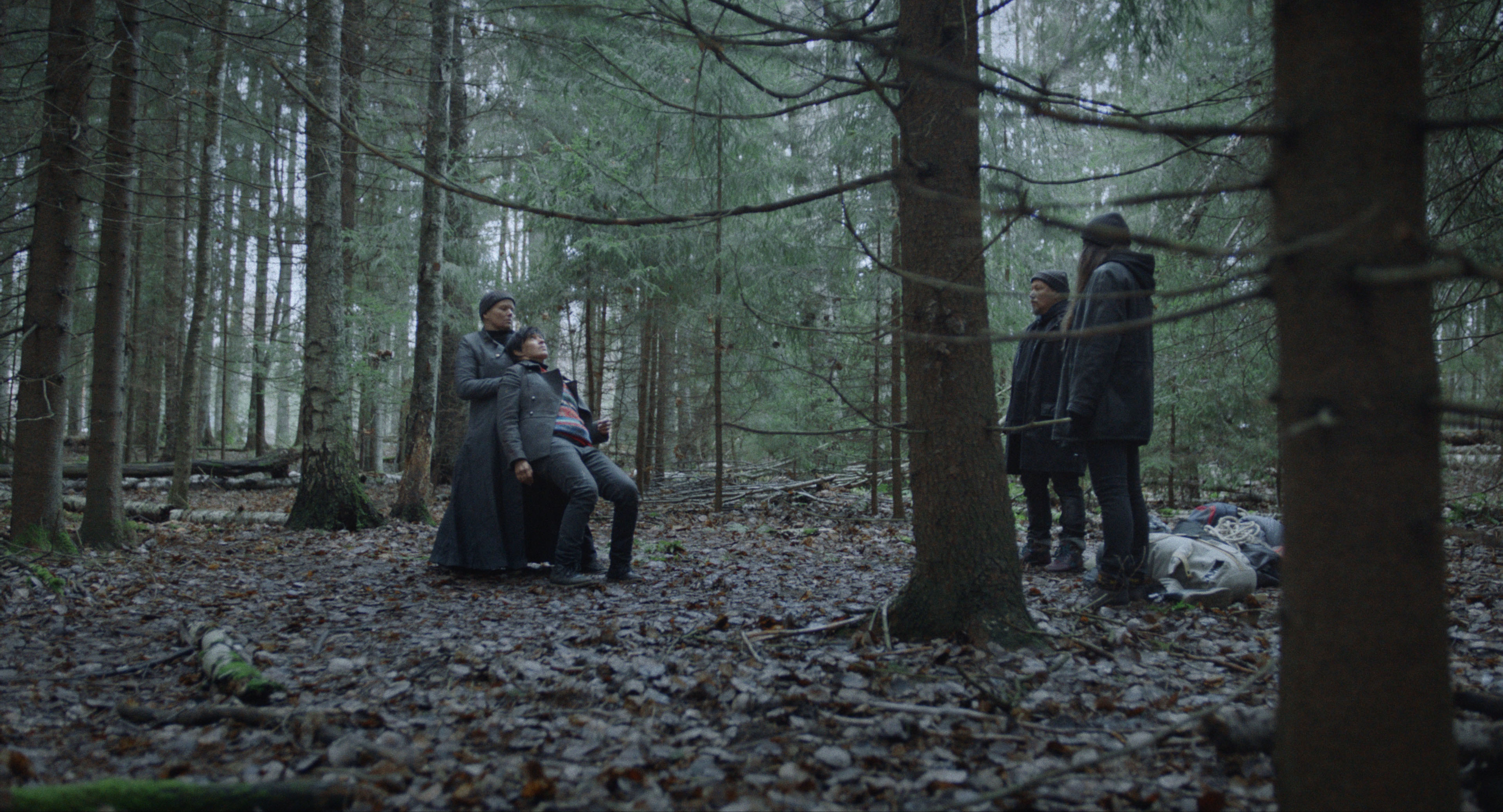 When the Night Falls