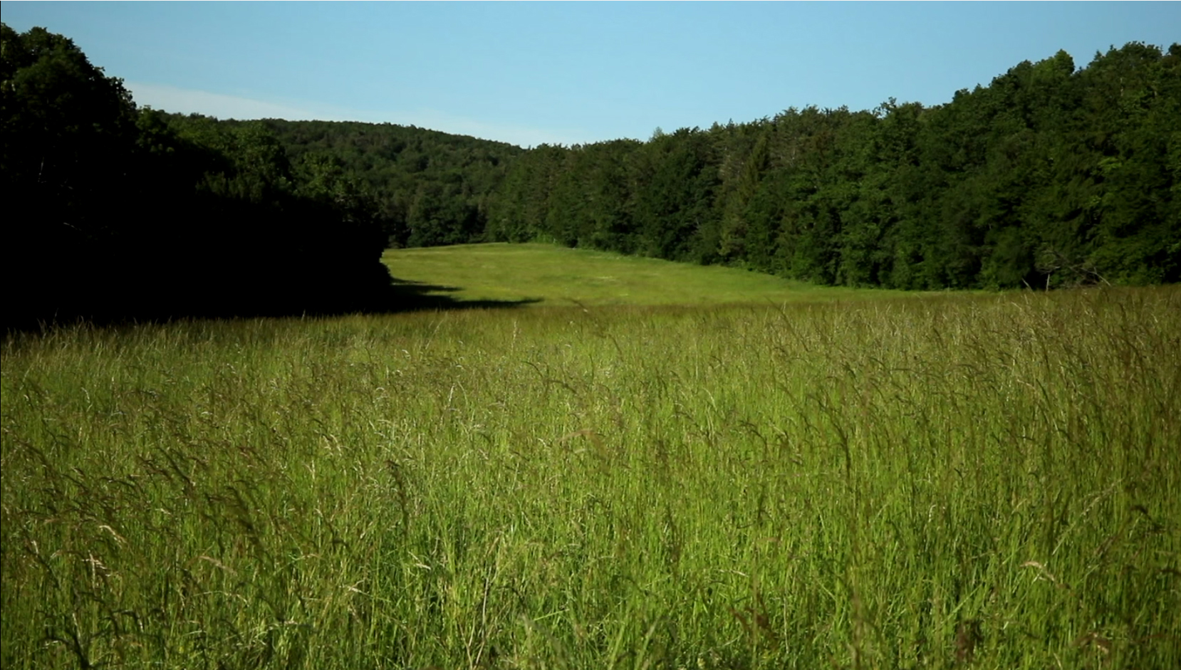 Essai de résistance esthétique