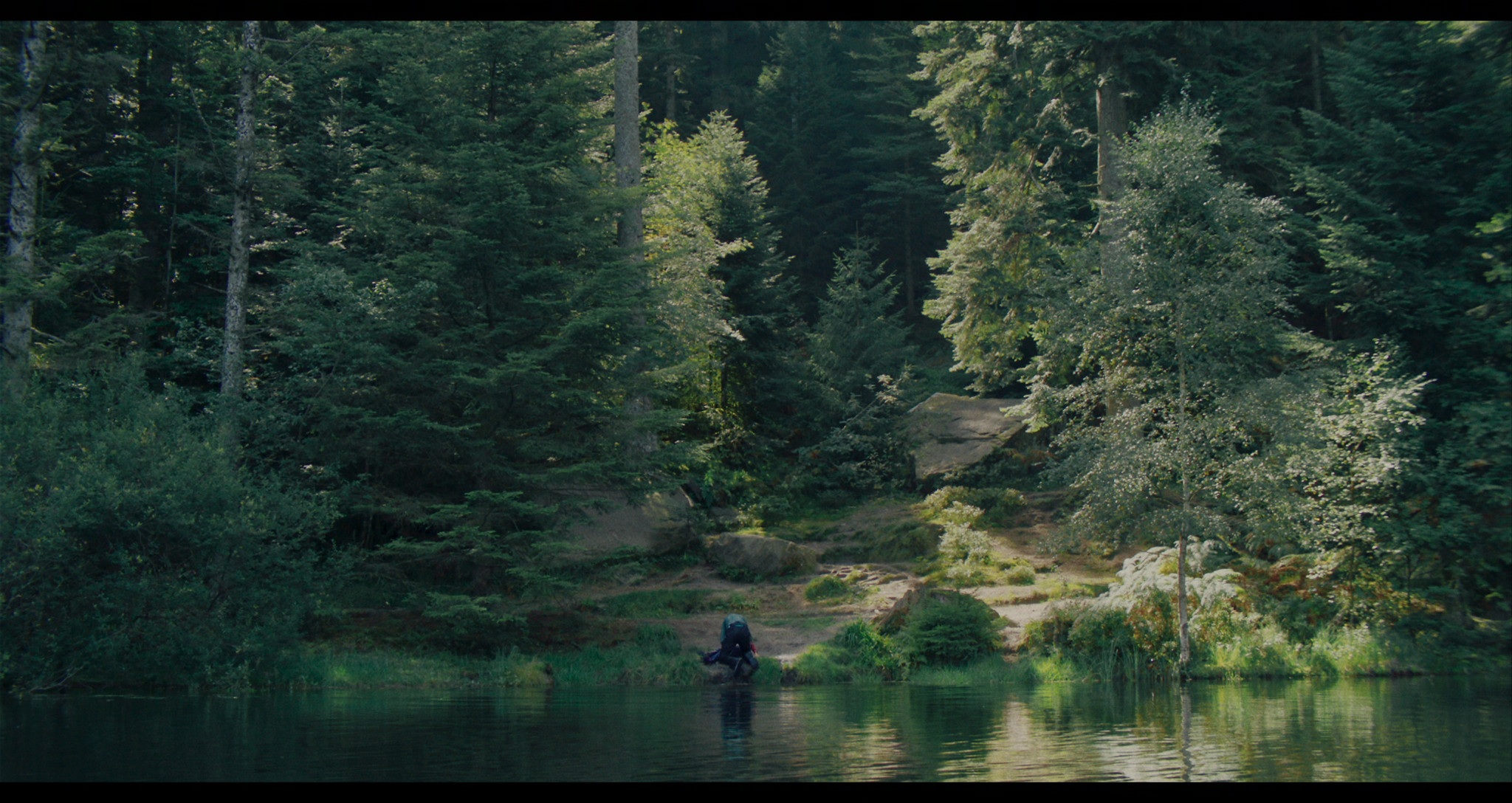 Ce qui vient la nuit