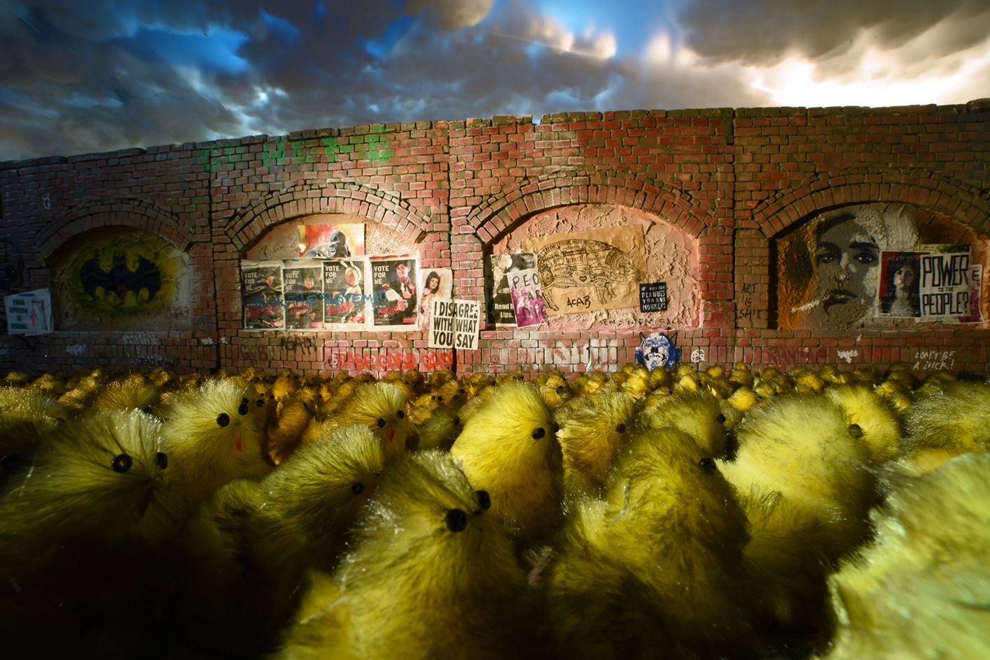 Chick Wash