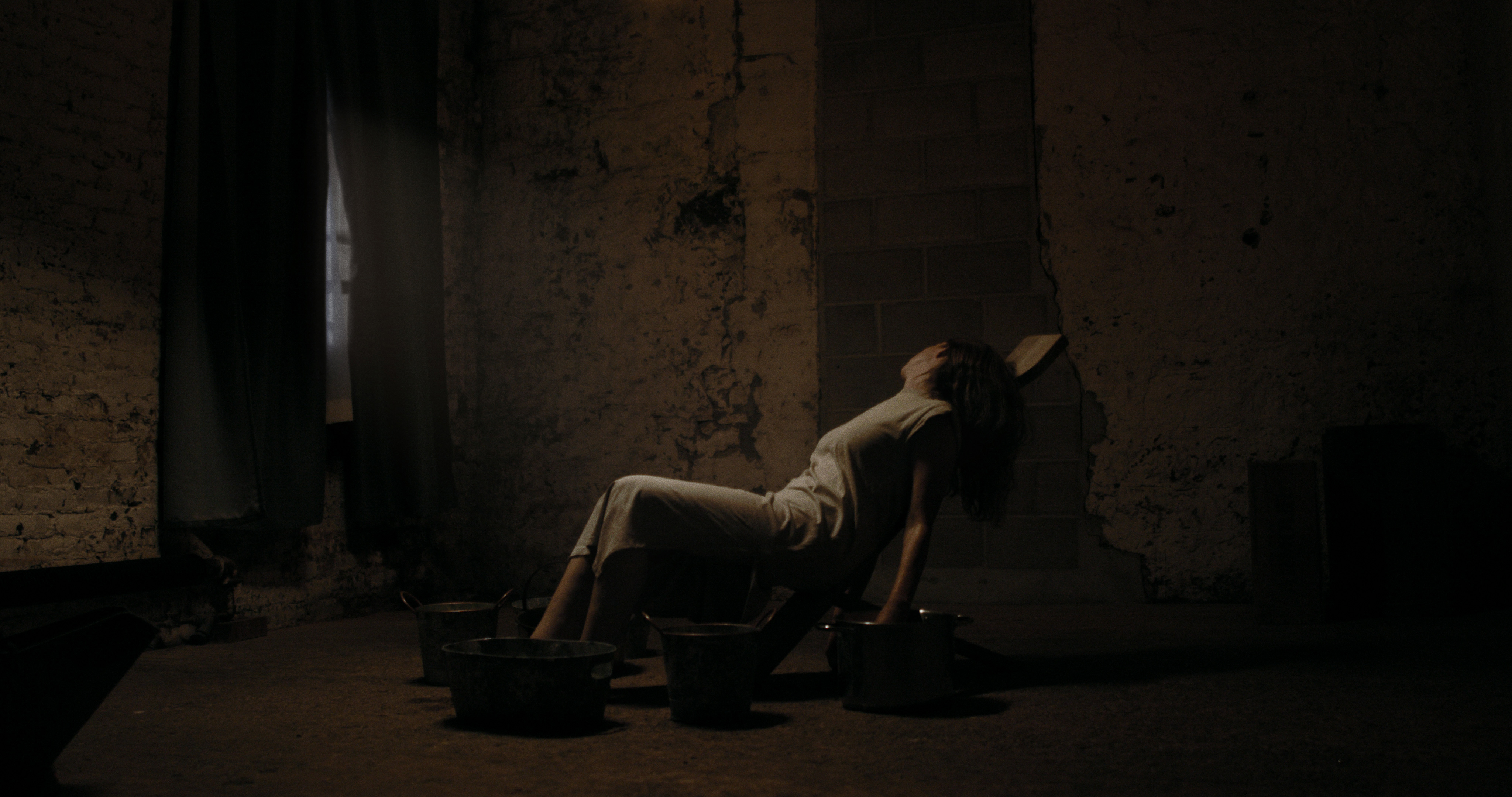 Whisper of Succulents