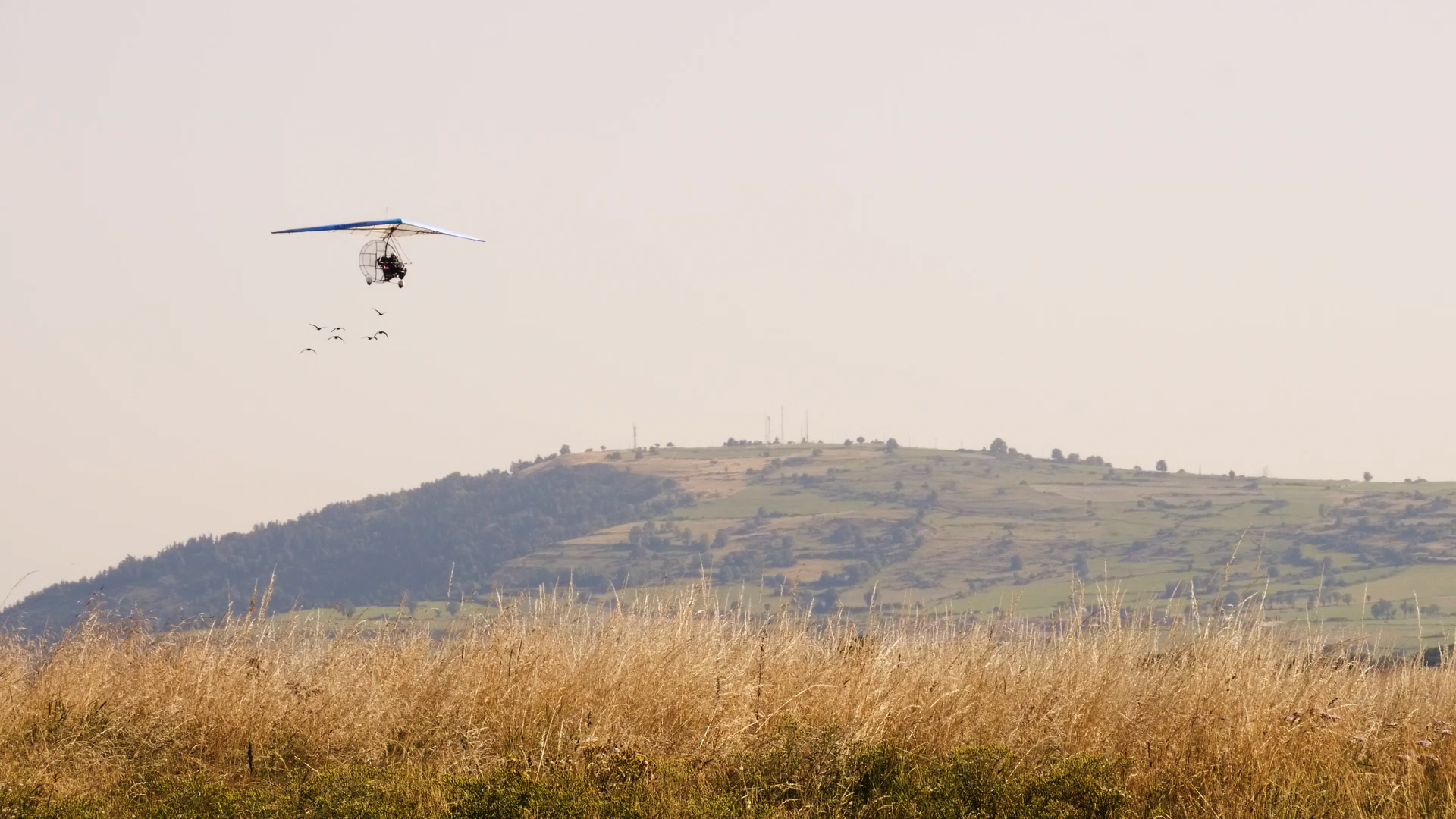 Histoire d'une narse