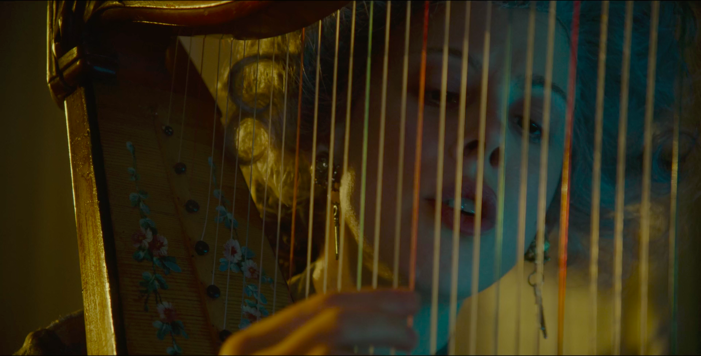 John et la République, mémoires d'un perroquet