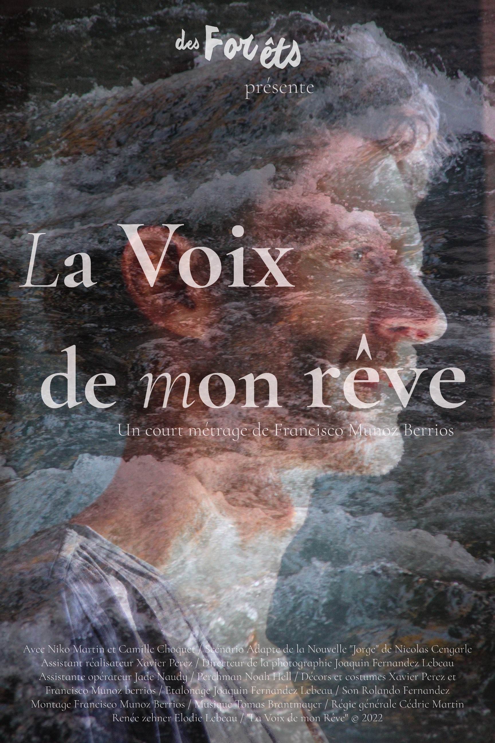 Voix de mon rêve