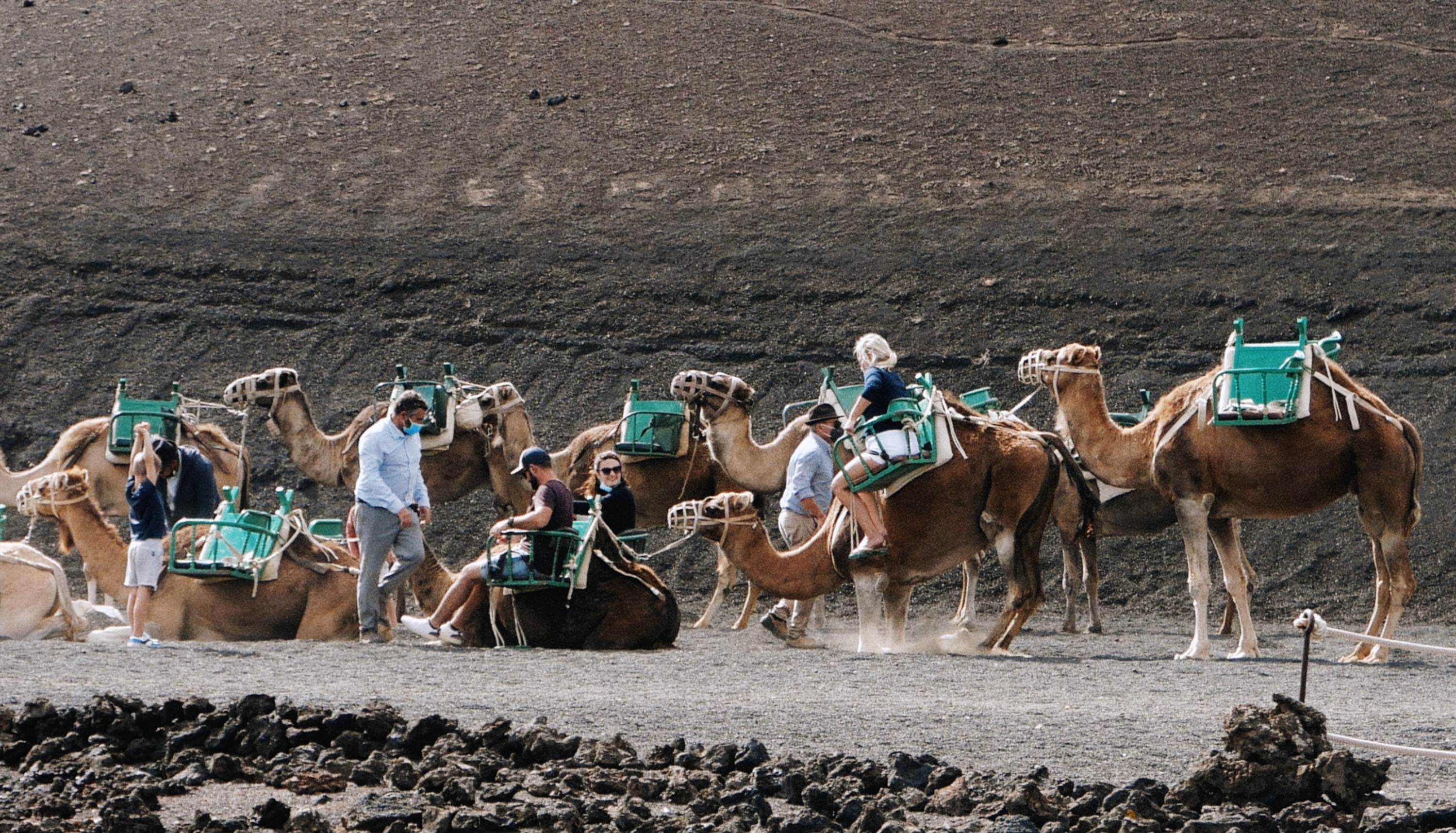 Notas de un Dromedario