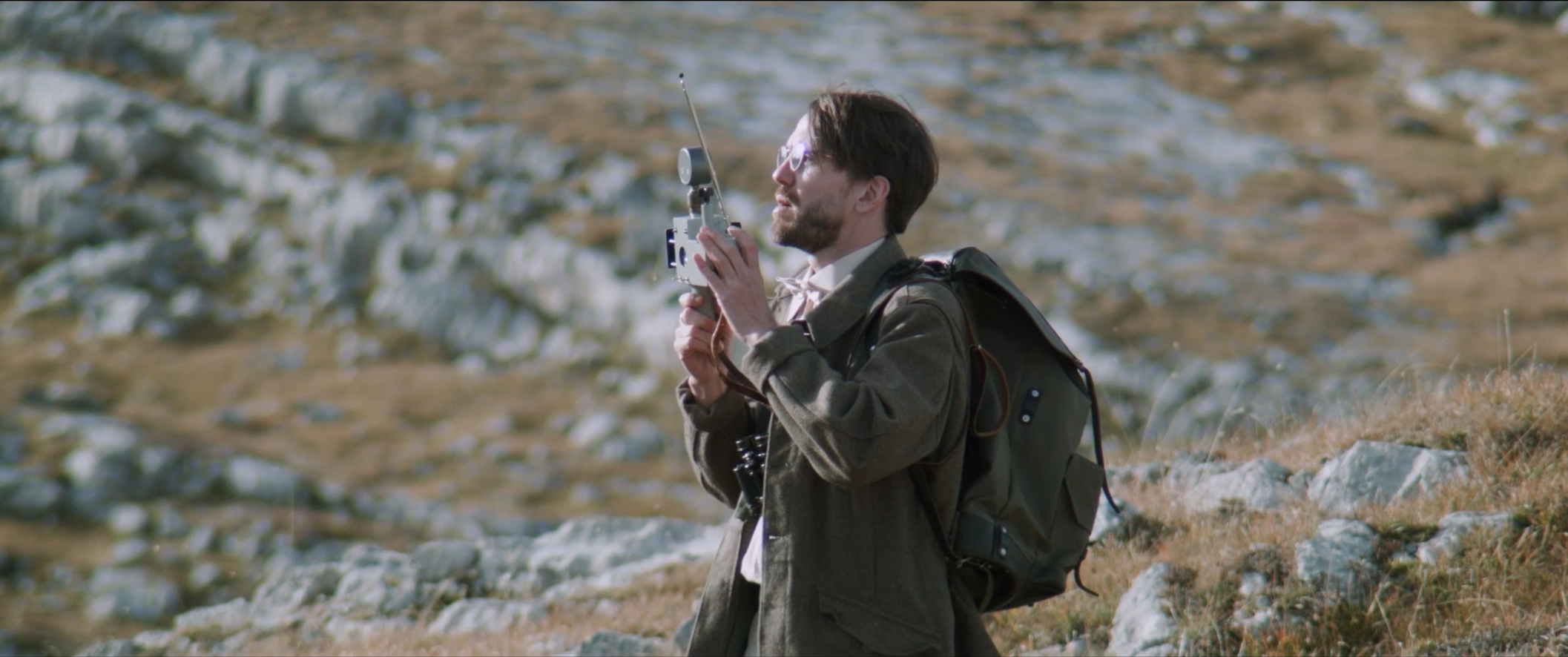 Neophyt im Morgenrot