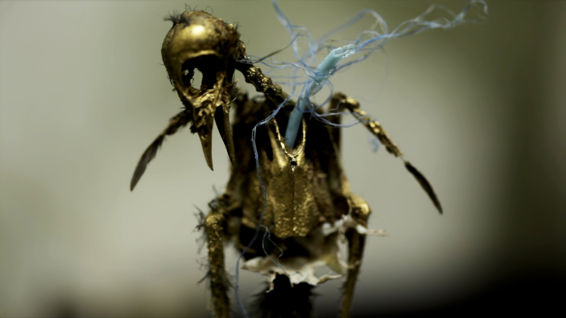 Hüter des Unrats. Eine kurze Geschichte des Abfalls