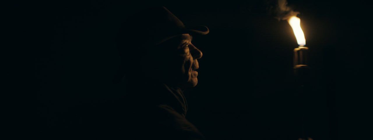 Path of the Palm Tree