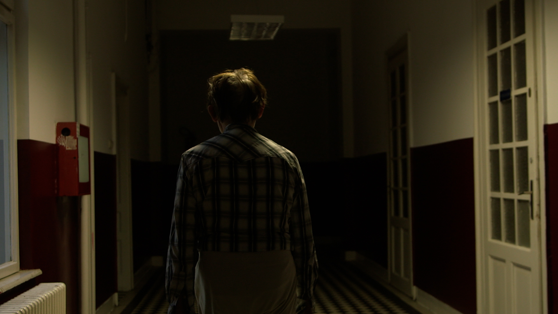 Anatomija hipomanije