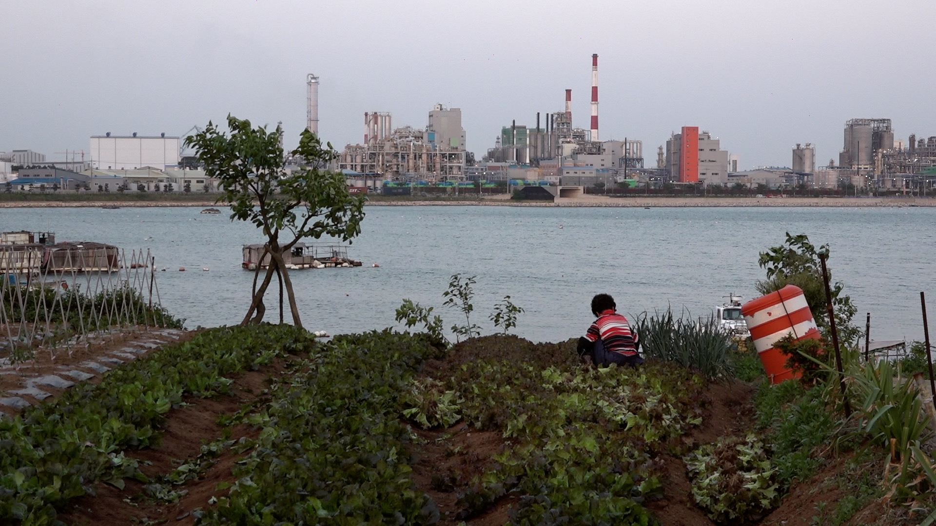 Onsan: Old Futures II