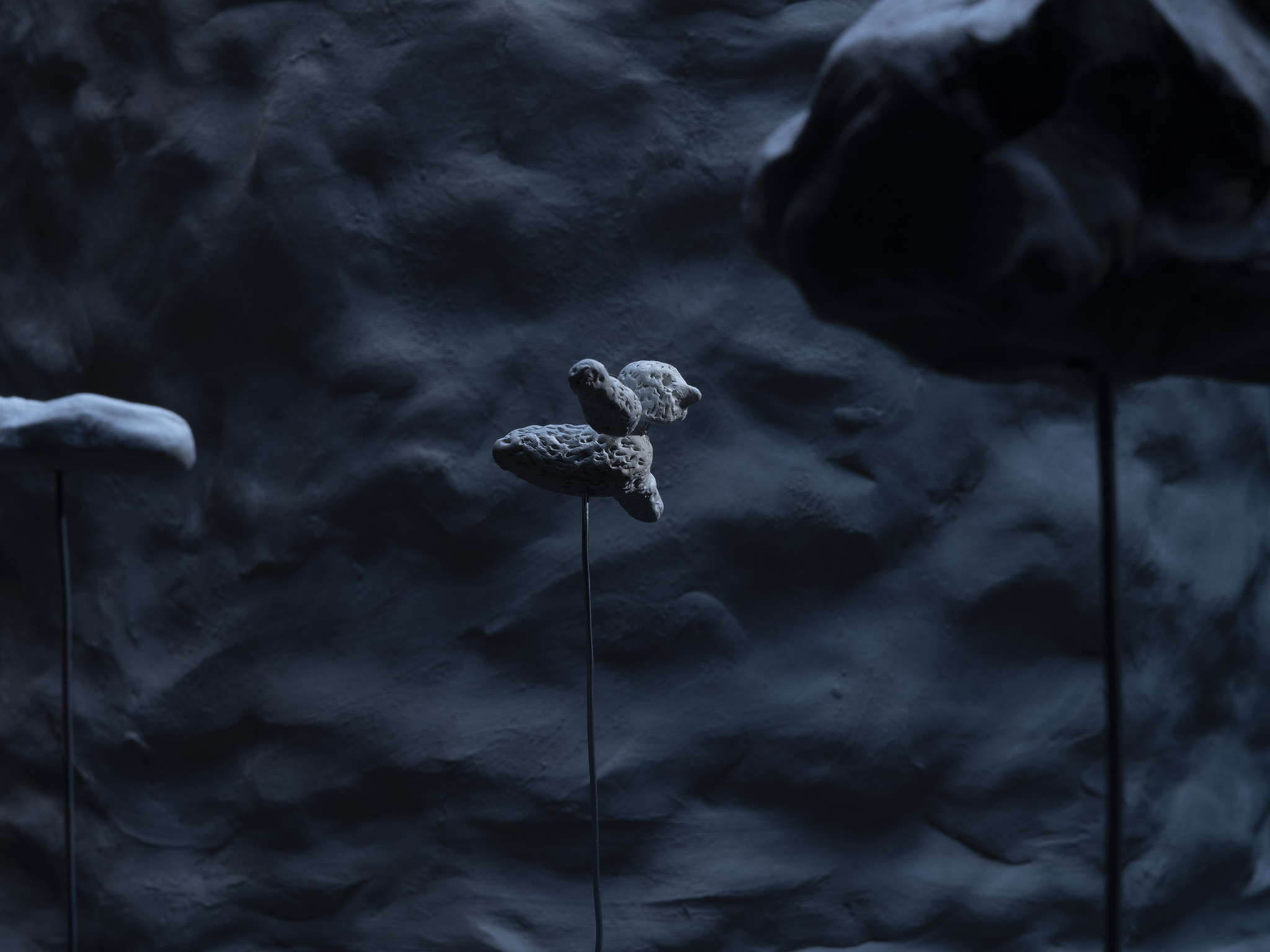 Not Worried. But Confused.