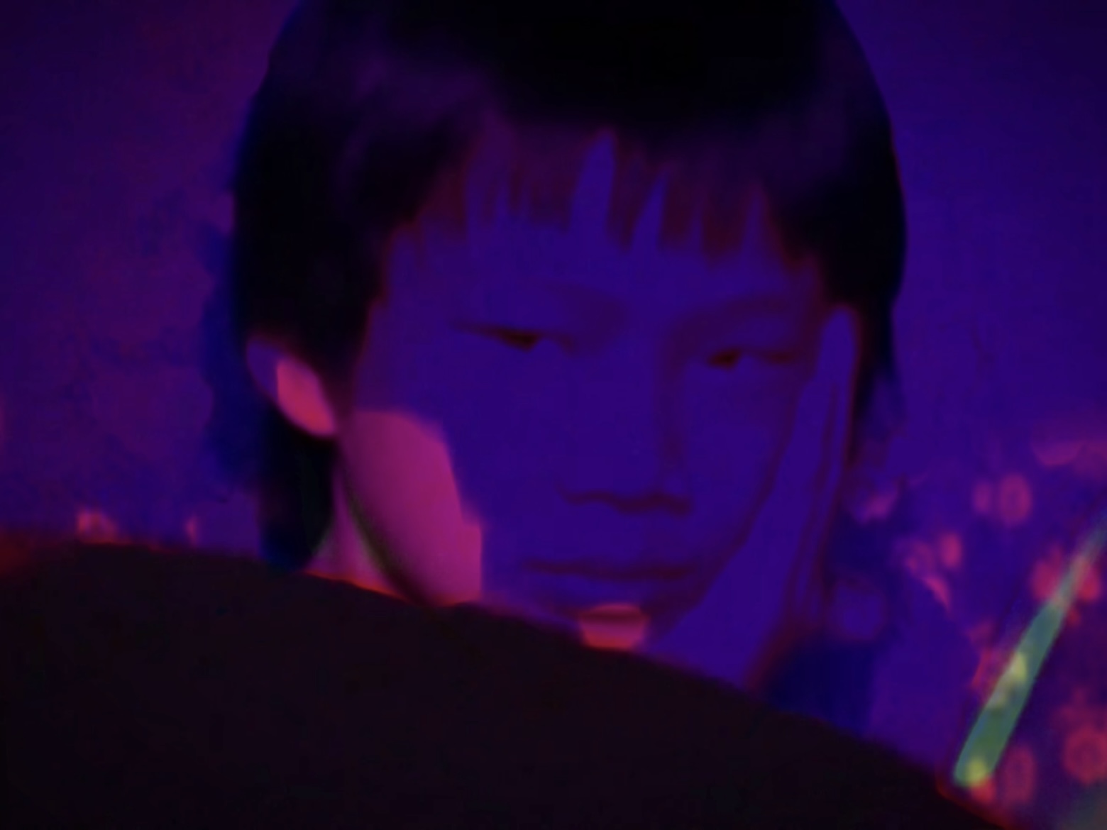 Chicken Feather Duster