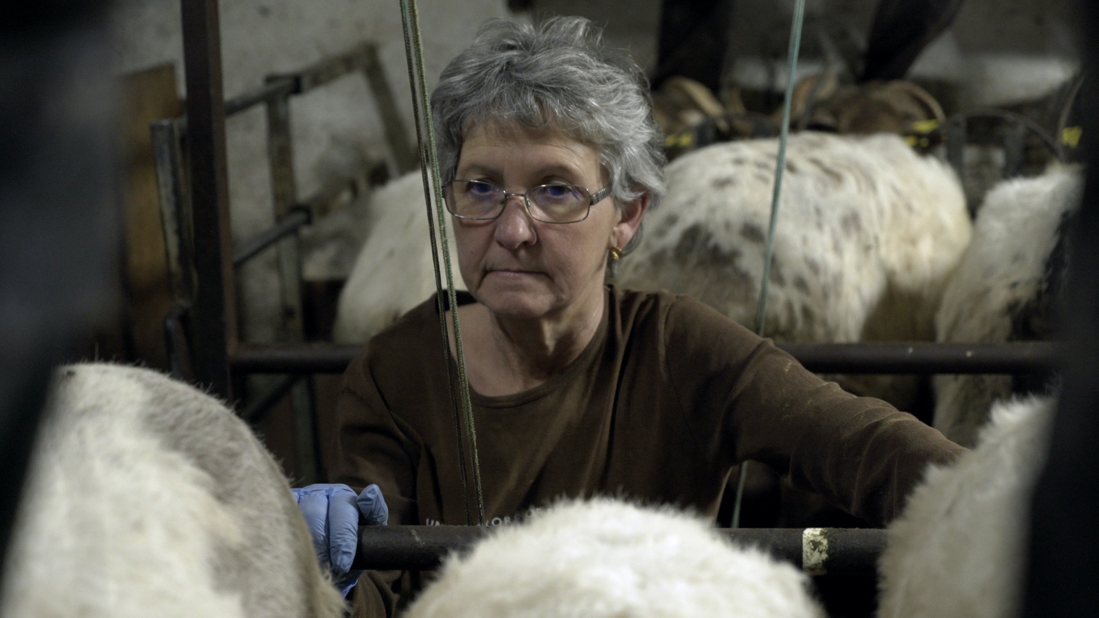 Etxetxipia (casa pequeña)