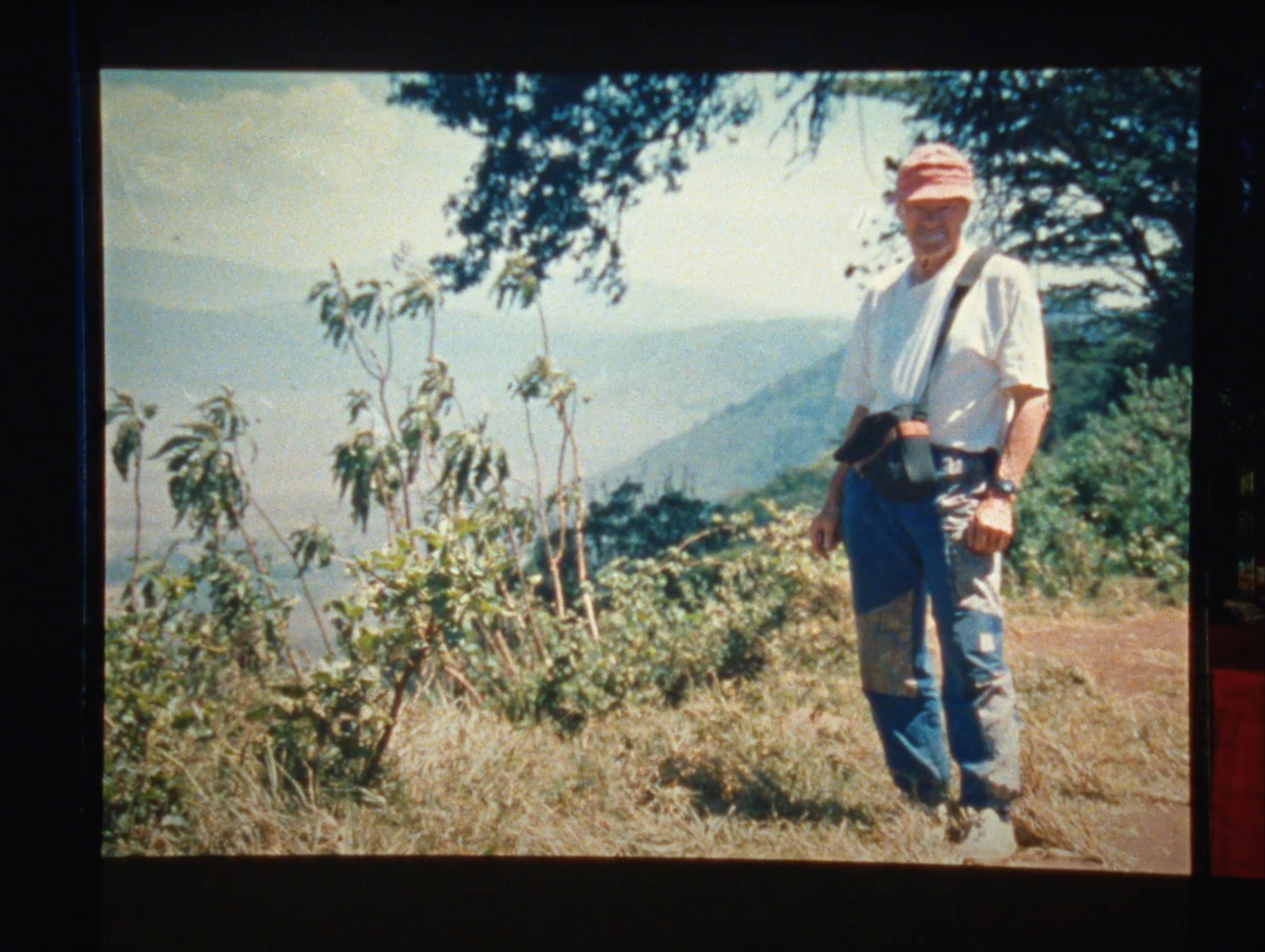 Flamingos 5895m N.N.
