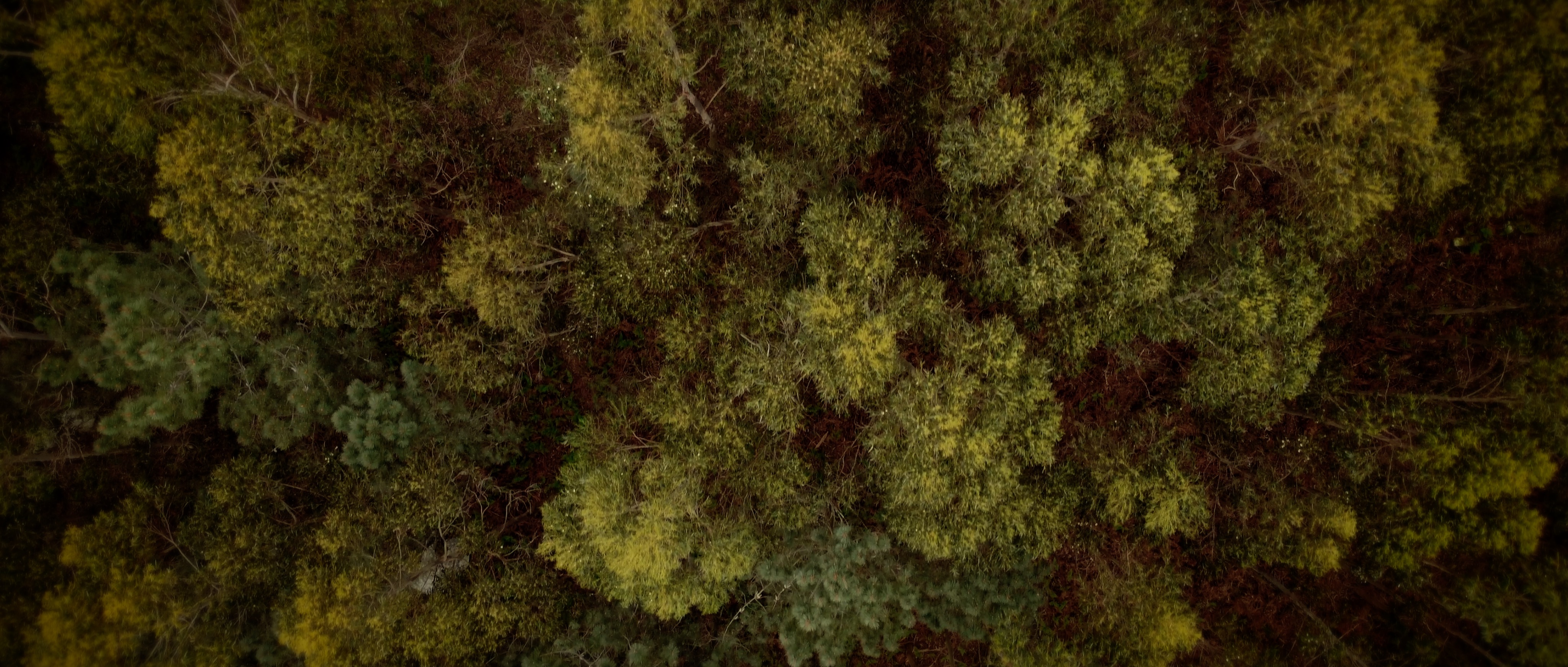 Unha illa no medio do mar