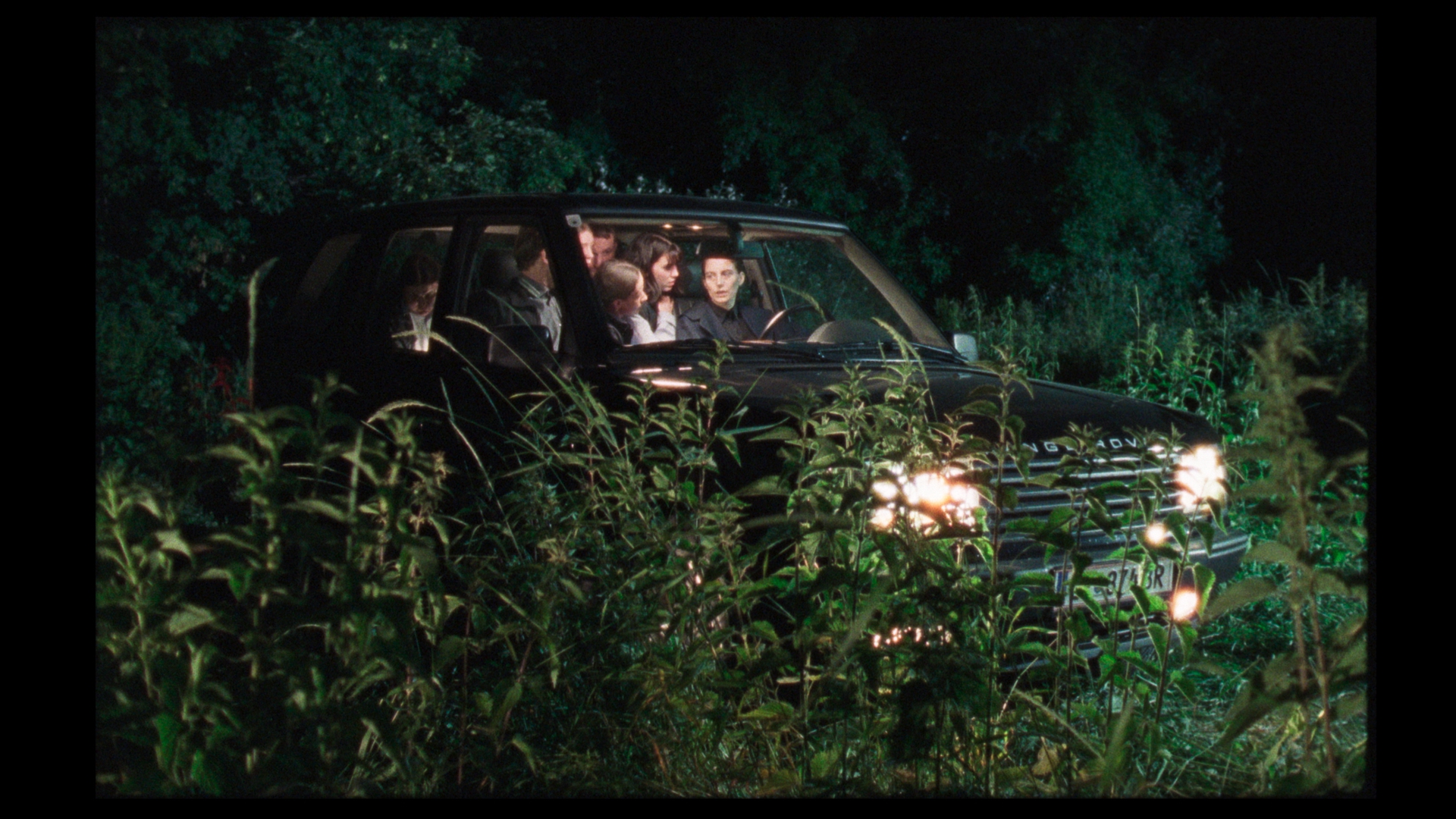 Ein selten entstaubter Teil des Gehirns