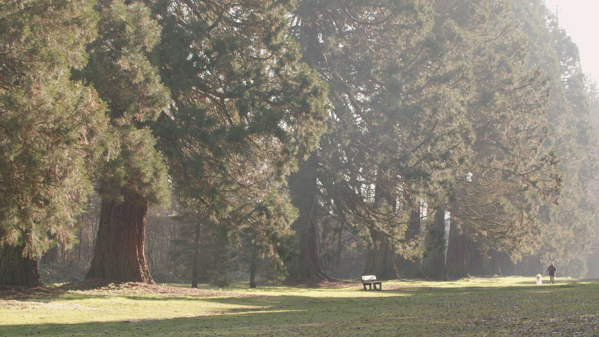 De lumière et de souffle