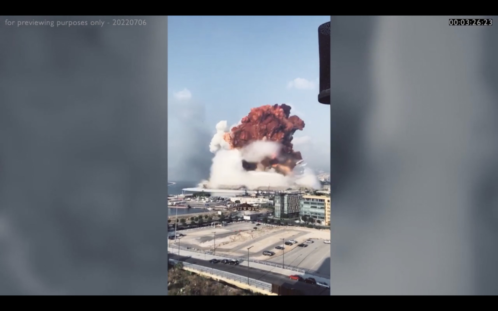 Birds Have Left Beirut