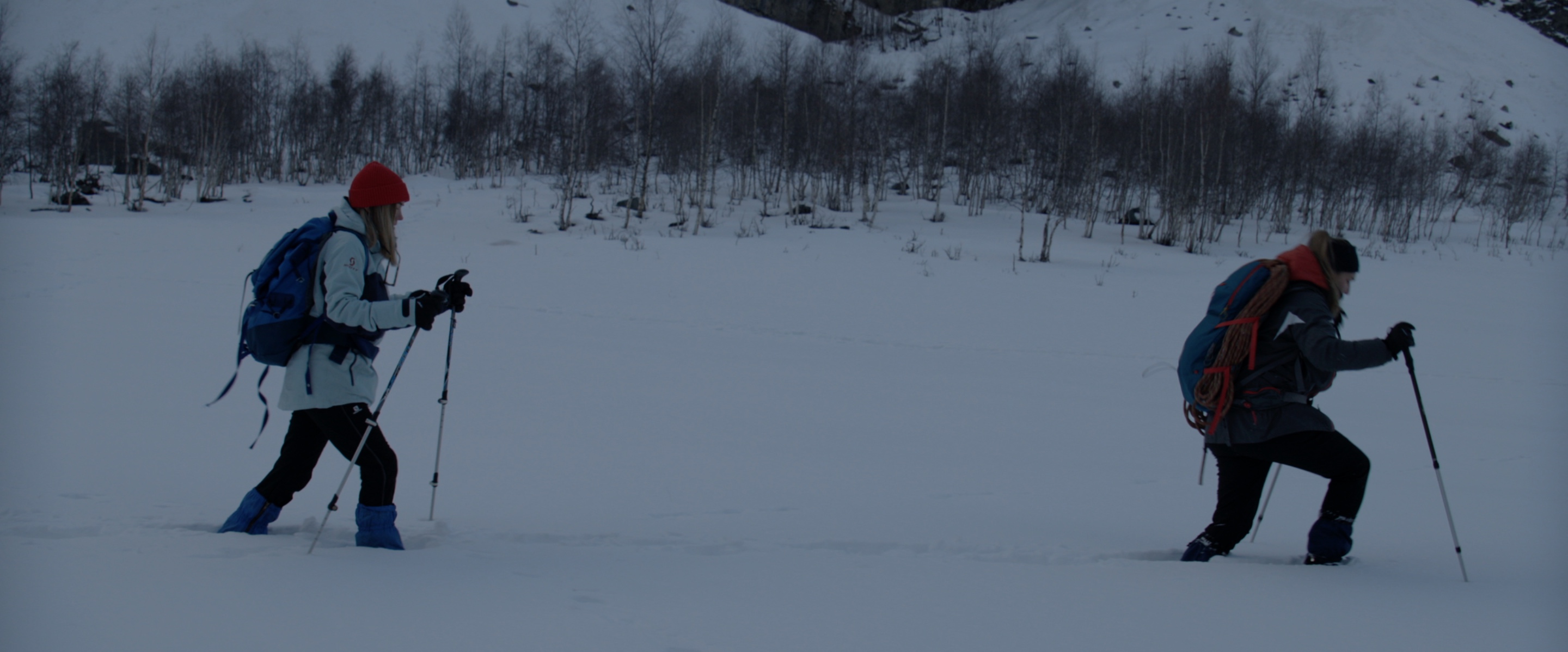 Grand désappointement