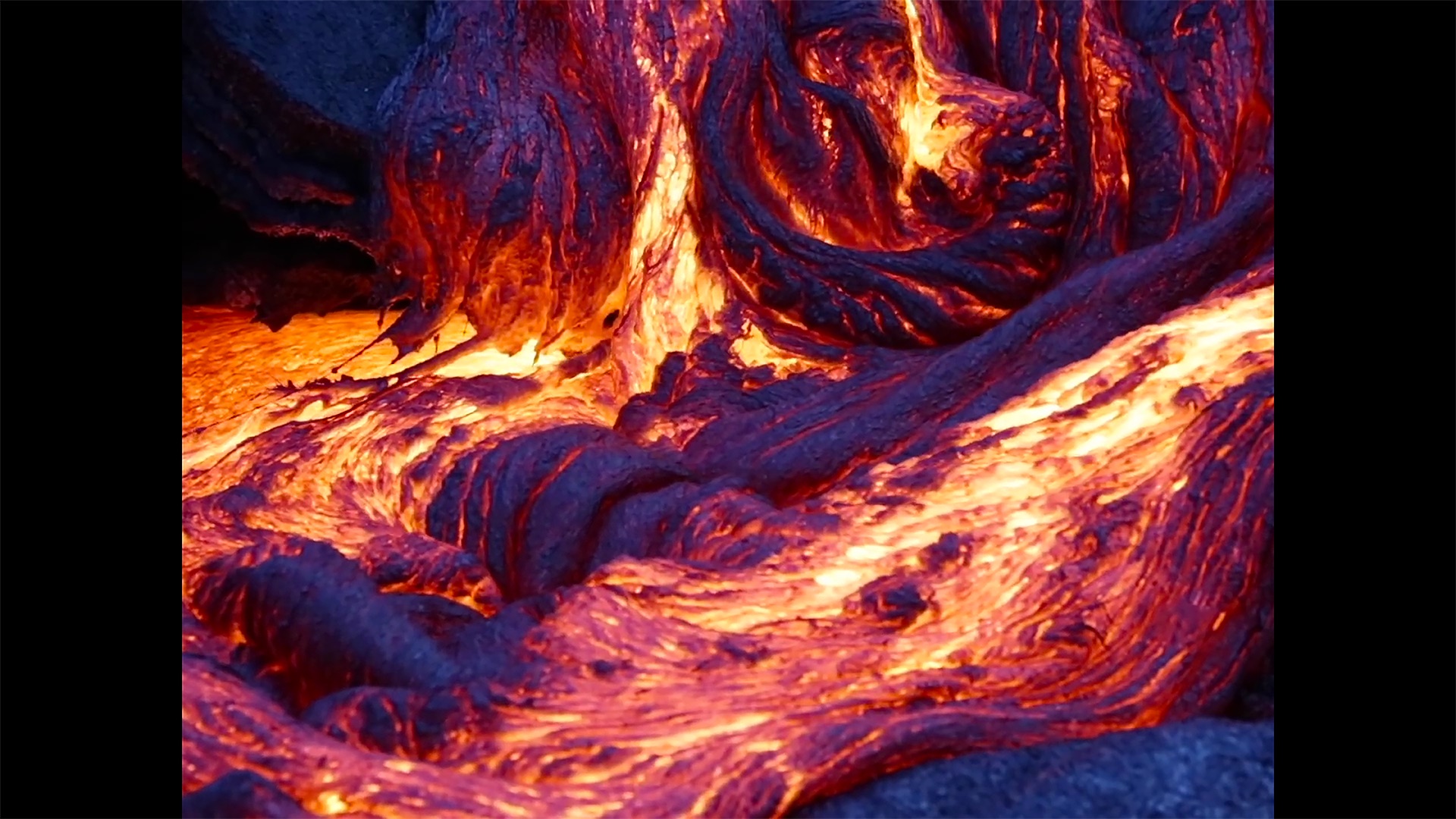 Dieux du Supermarché