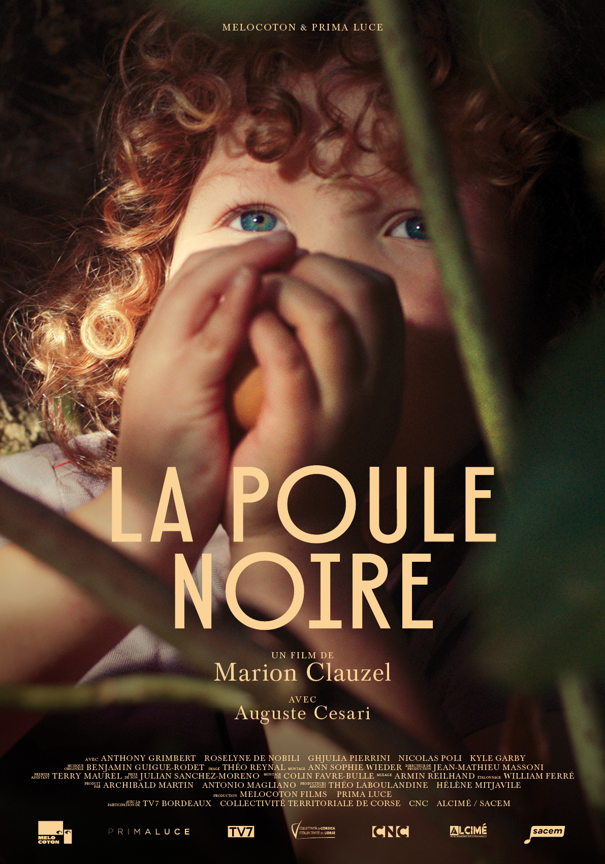 Poule Noire