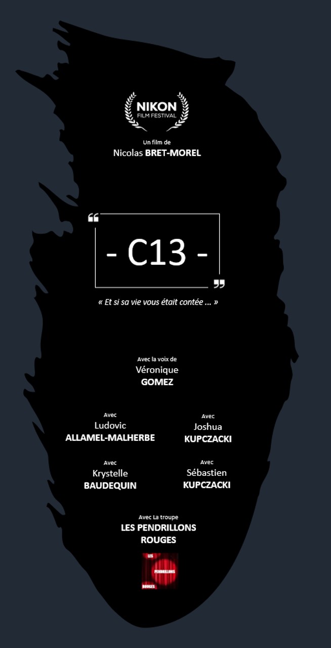 C13