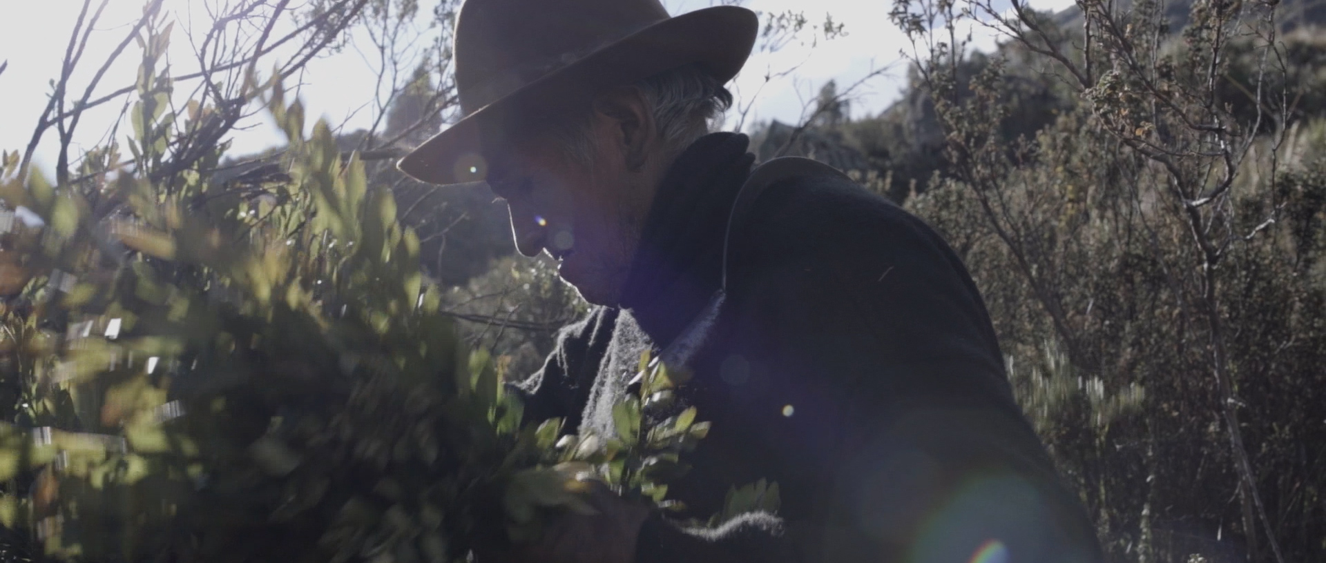 Cuidantsiqmi: Amor y cuidado a la tierra