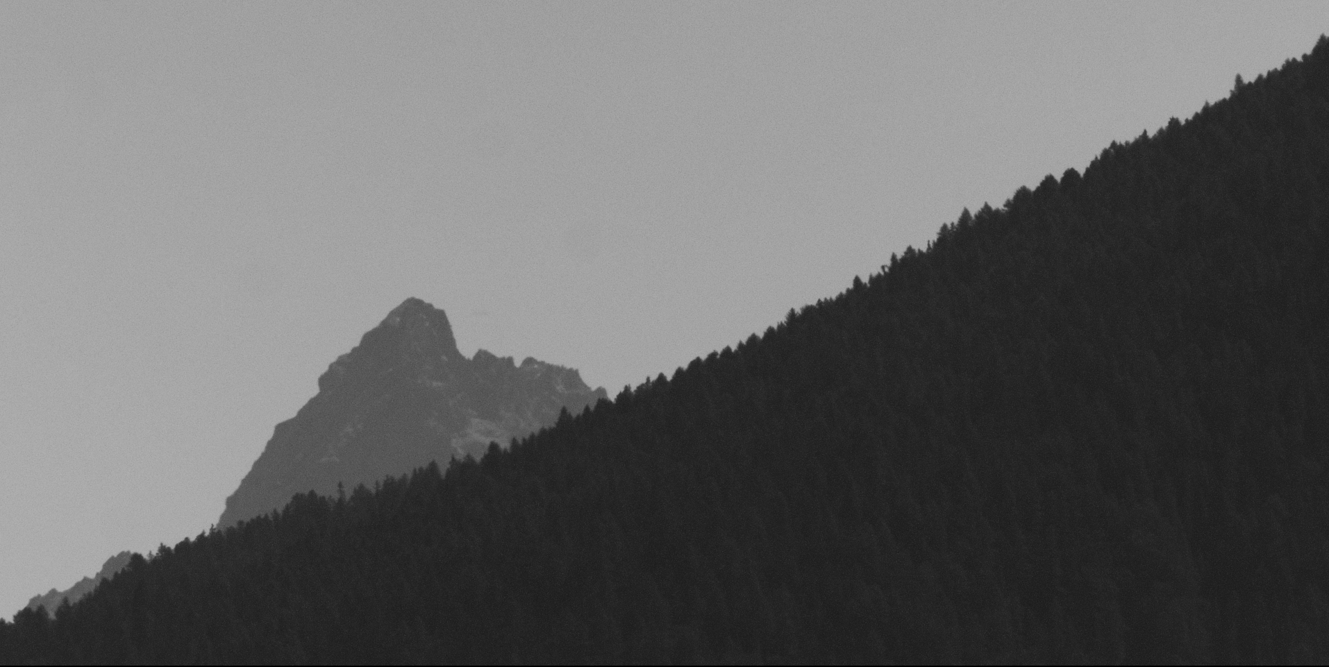 Mountain Flesh