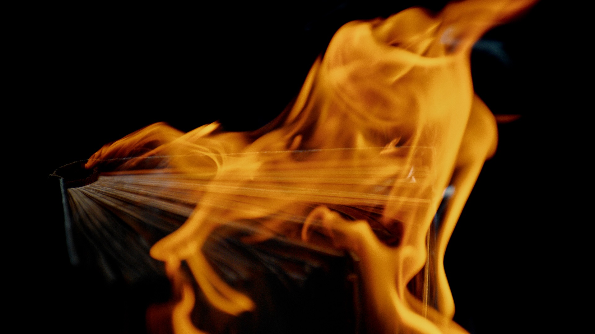 Reka WW – Wind Oh Wind