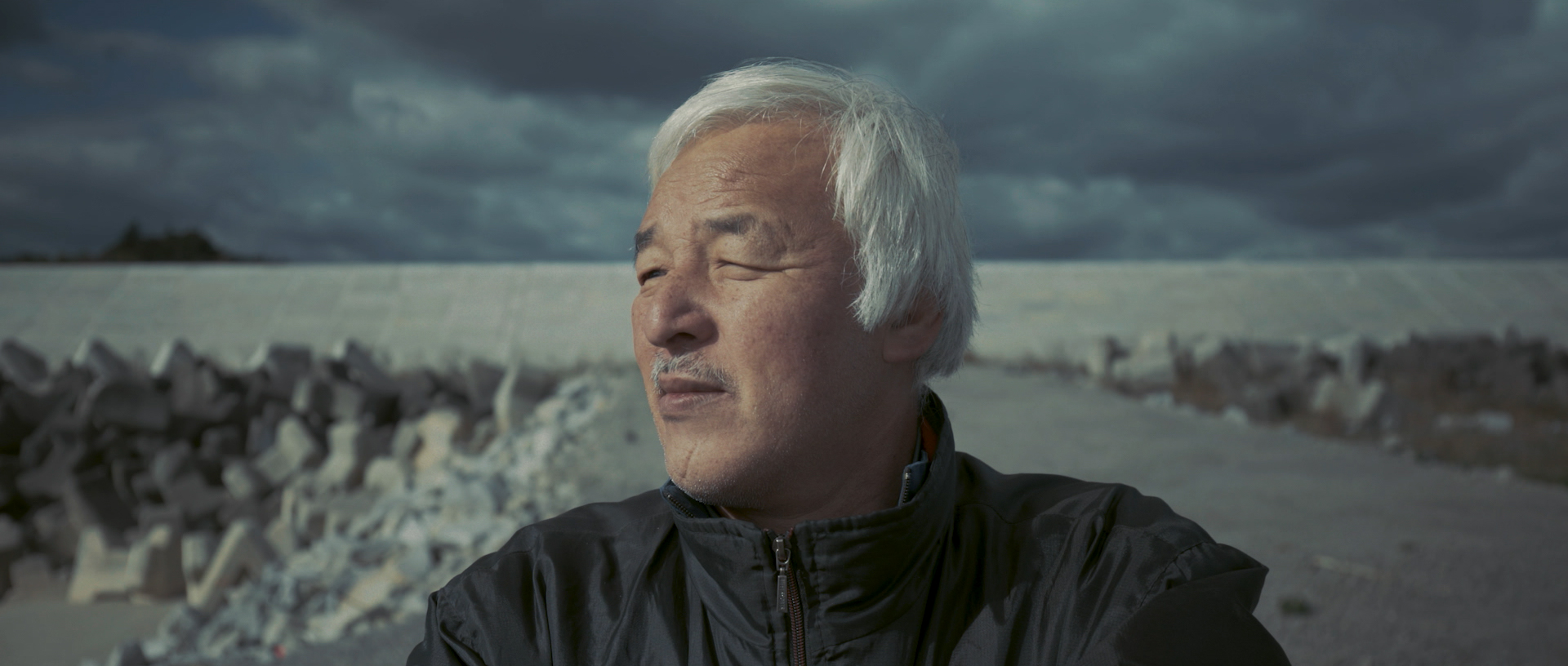  Have to Survive: Fukushima!