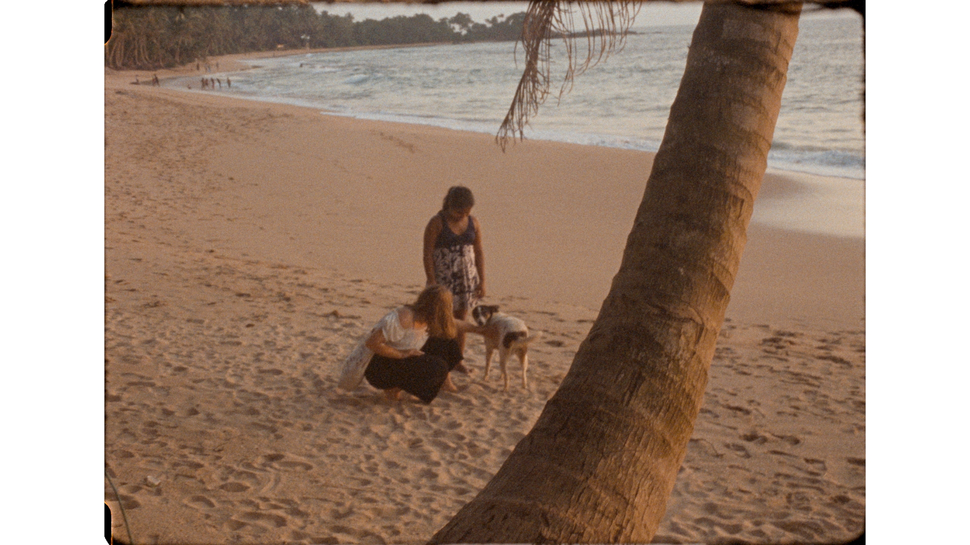 Three Circles with(in) the Whale