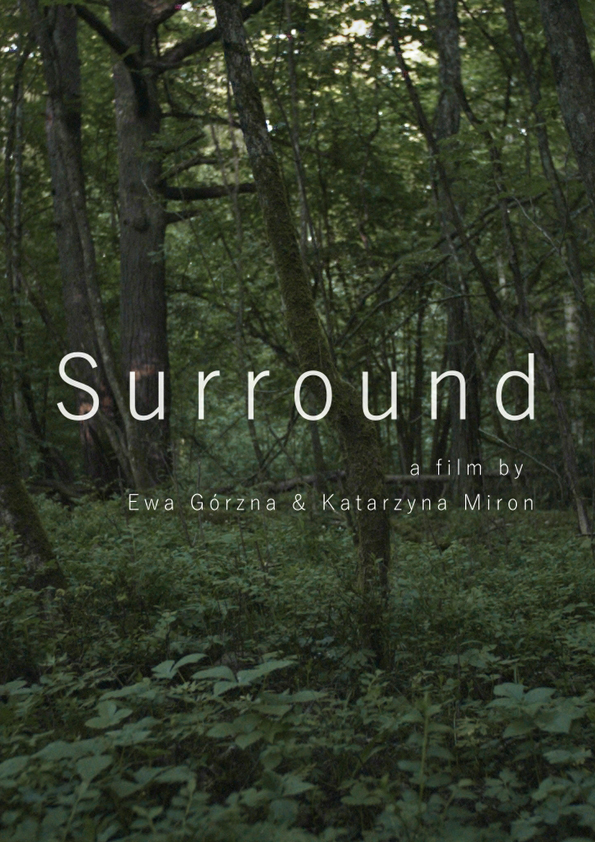 Surround