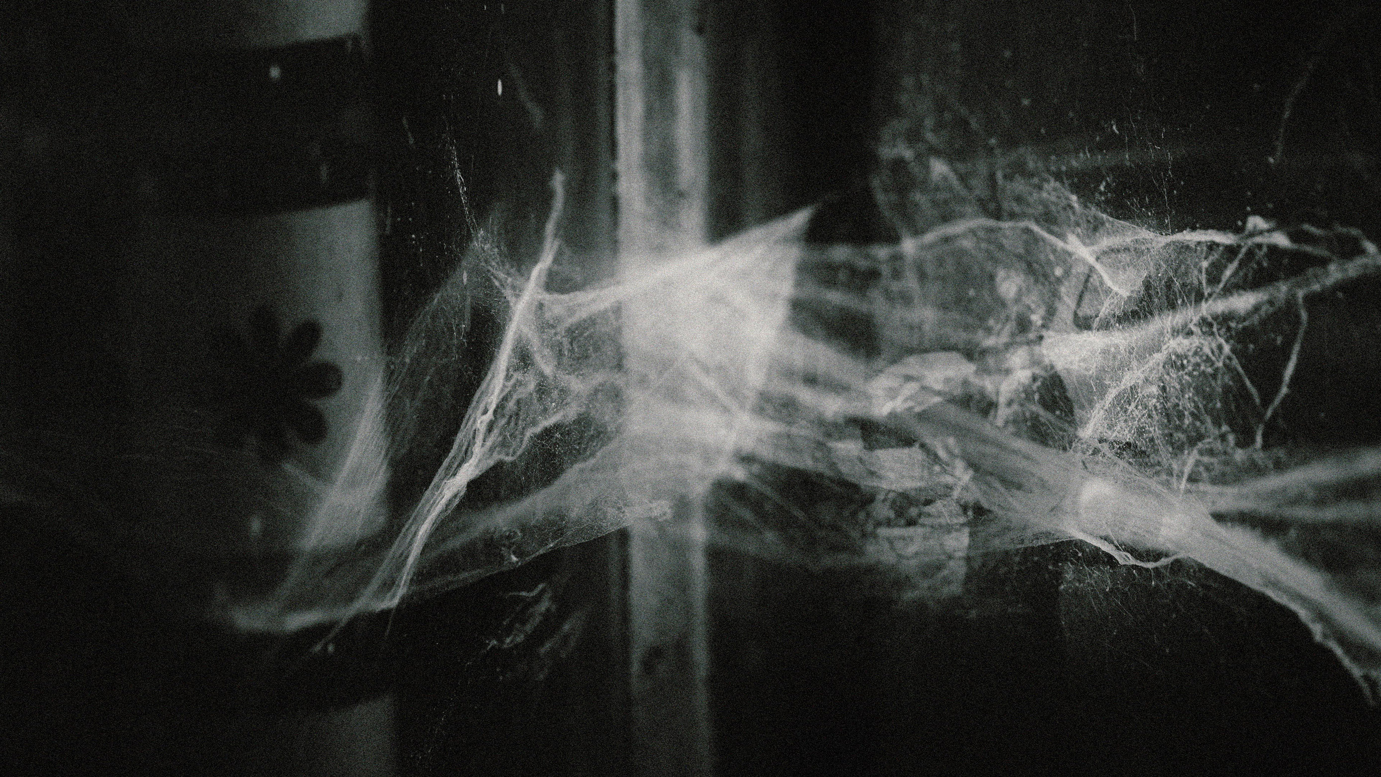 Windmill Of Your Mind