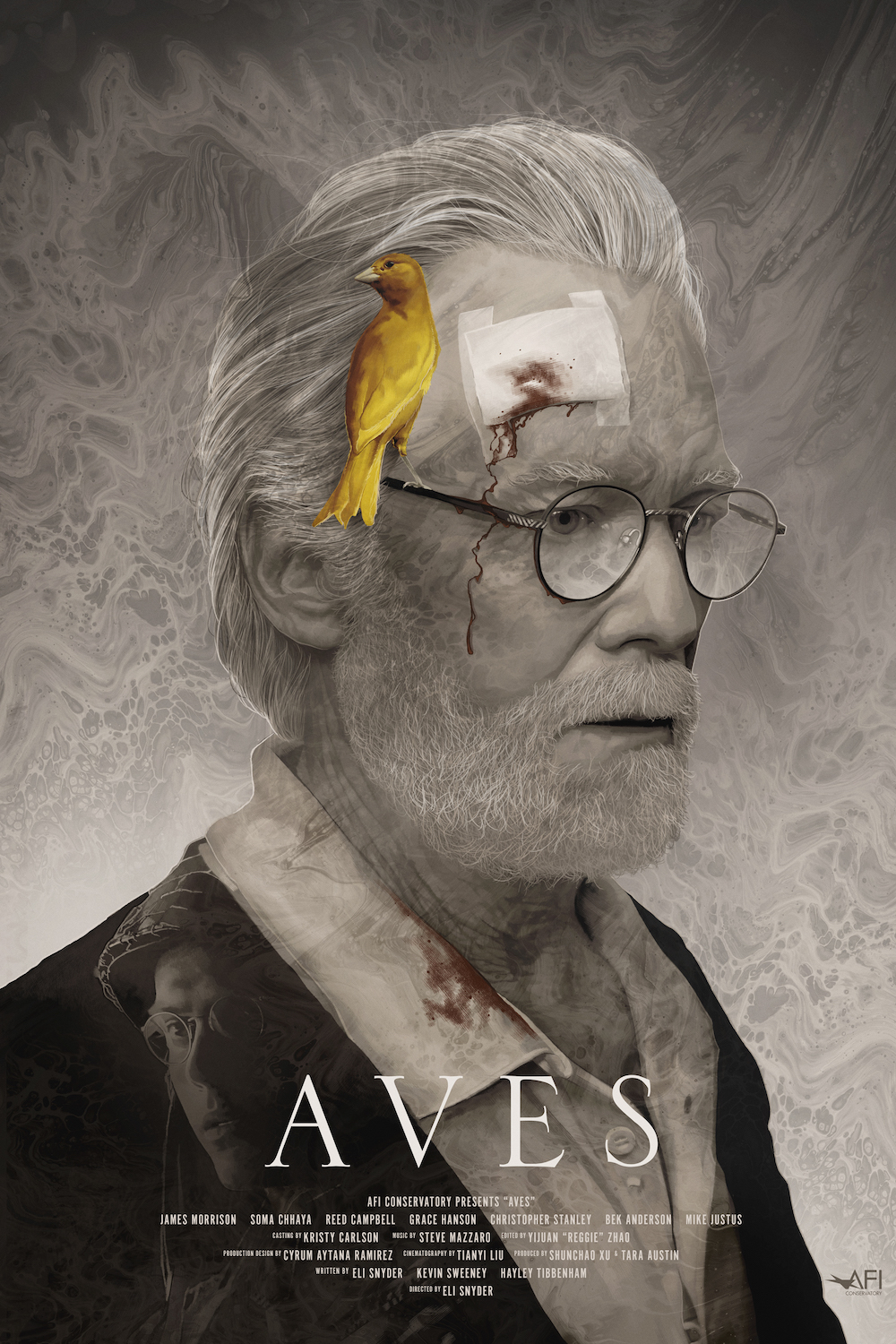 Aves